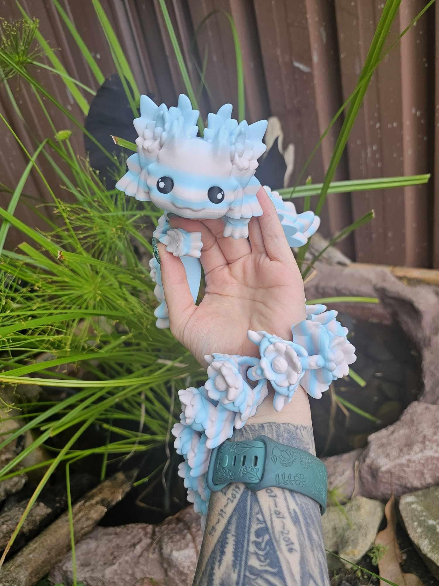 Meet The Dragons
