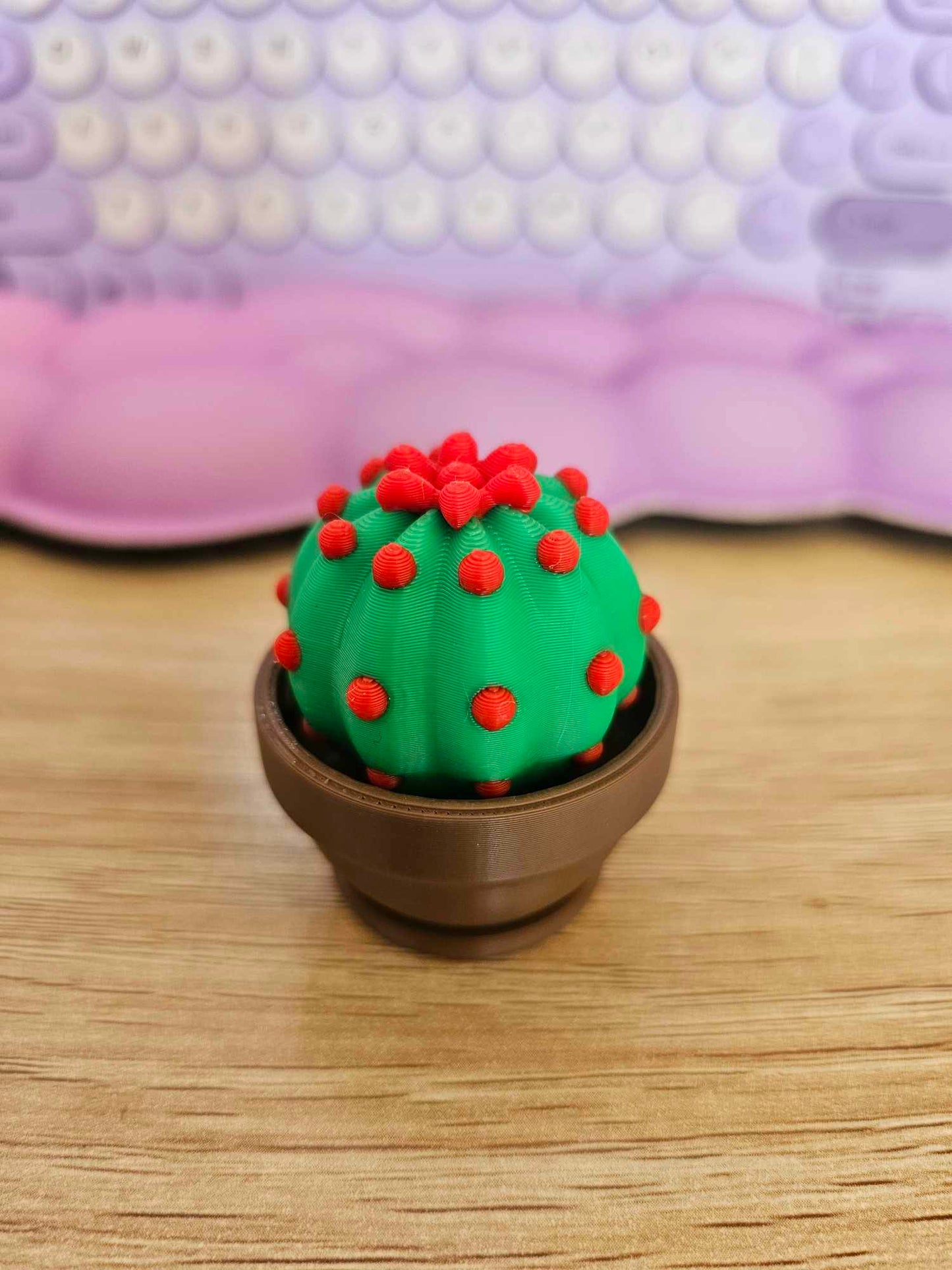 Cactus Clicker Fidget Toy