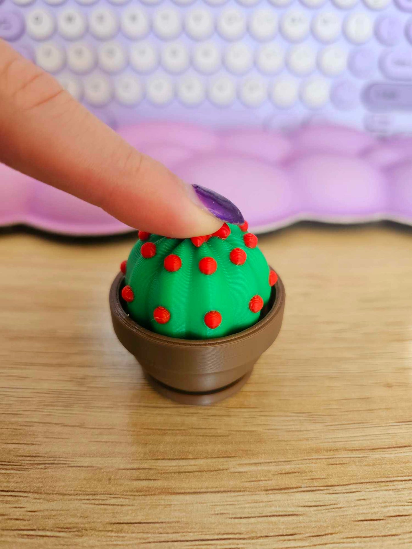 Cactus Clicker Fidget Toy