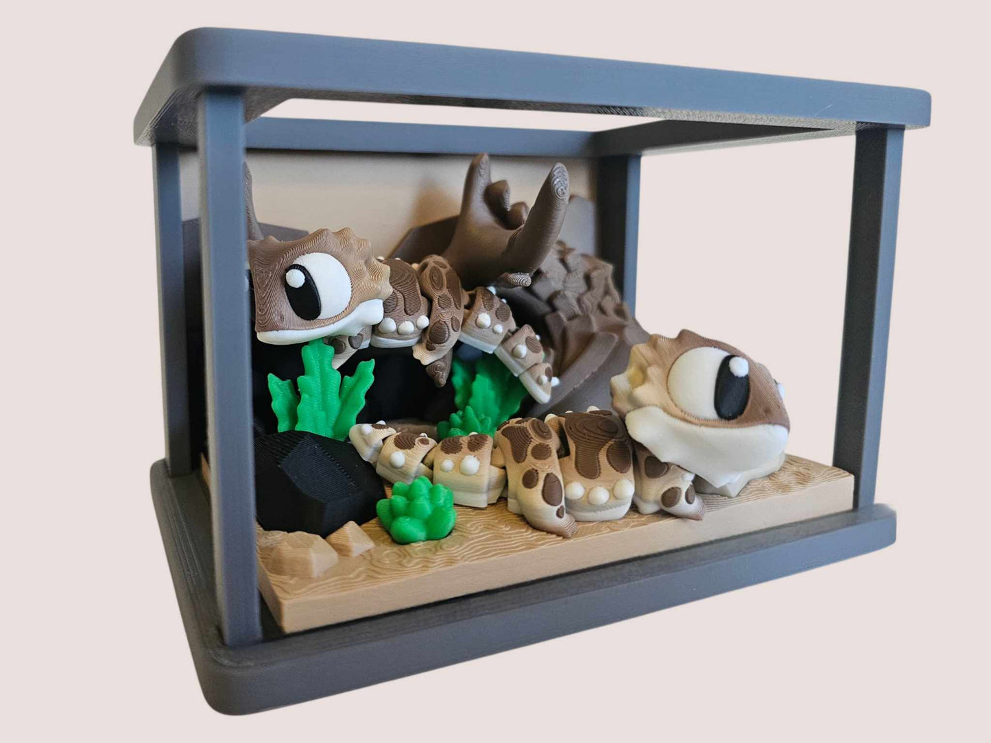 Bearded Dragon & Reptile Terrarium