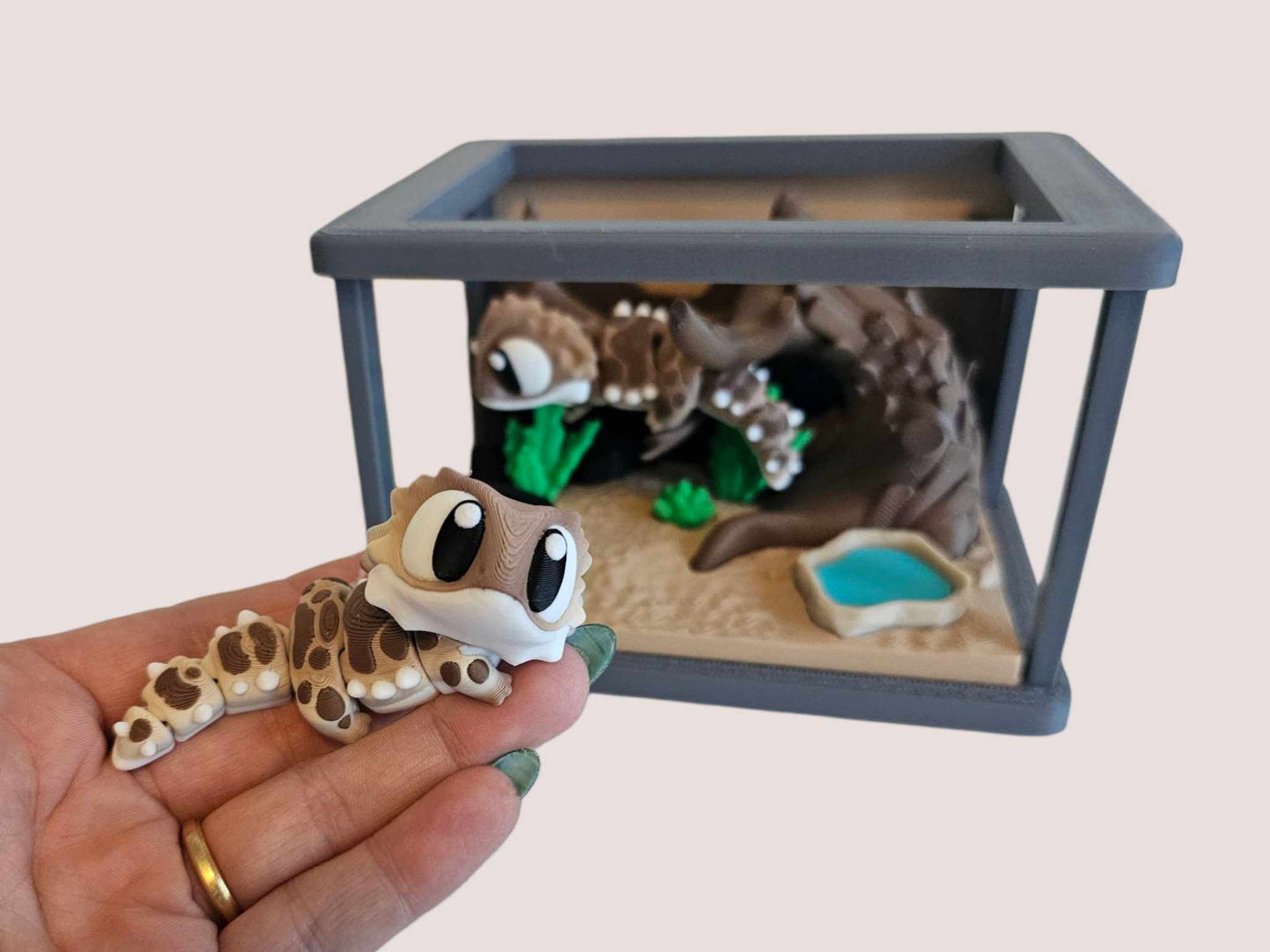 Bearded Dragon & Reptile Terrarium