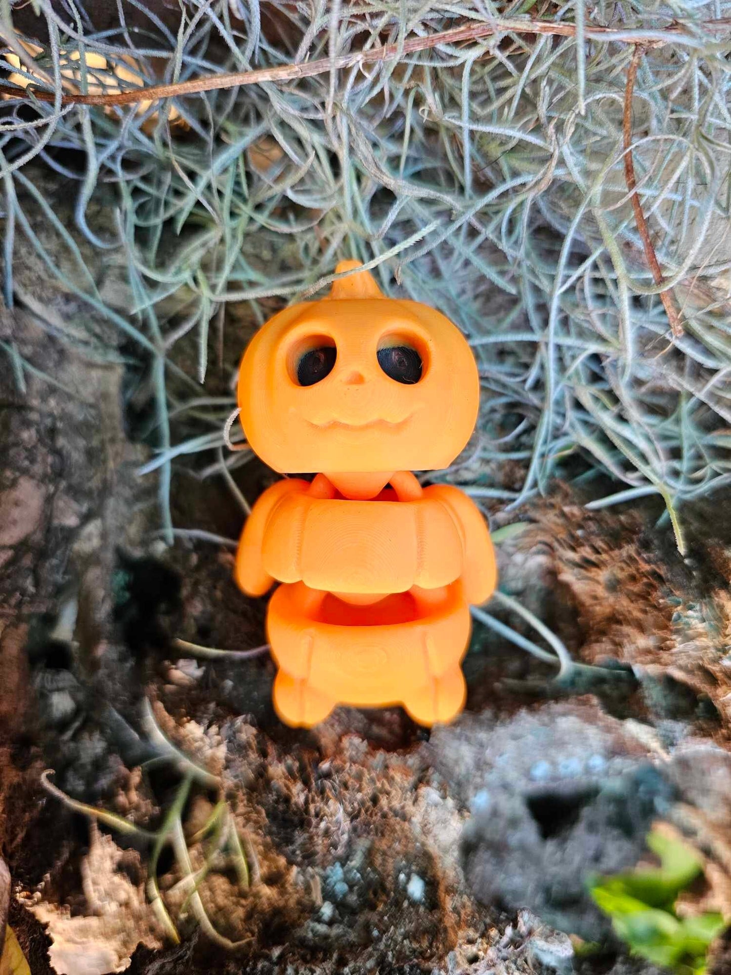 Mini Pumkin
