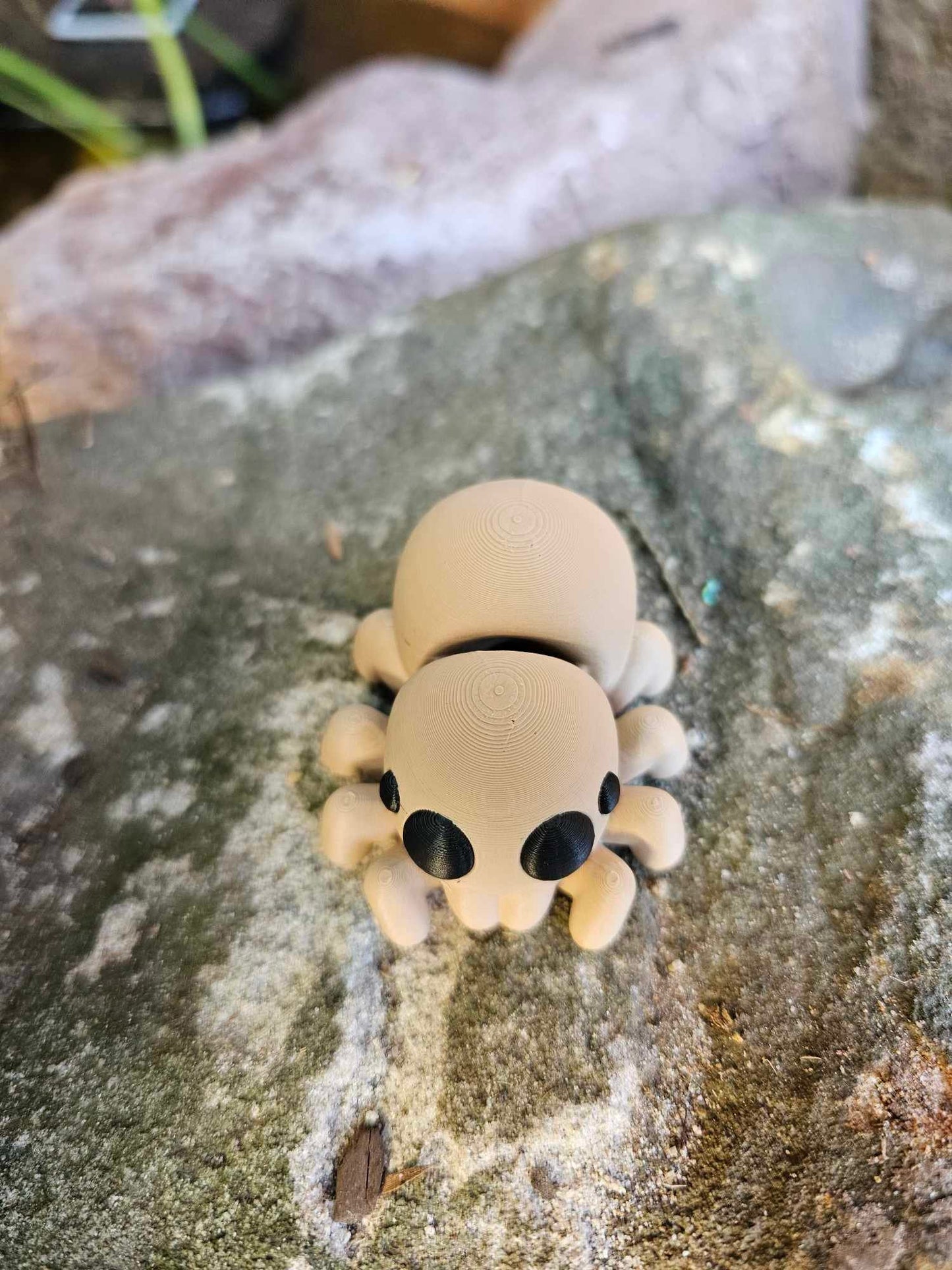 Mini Spider