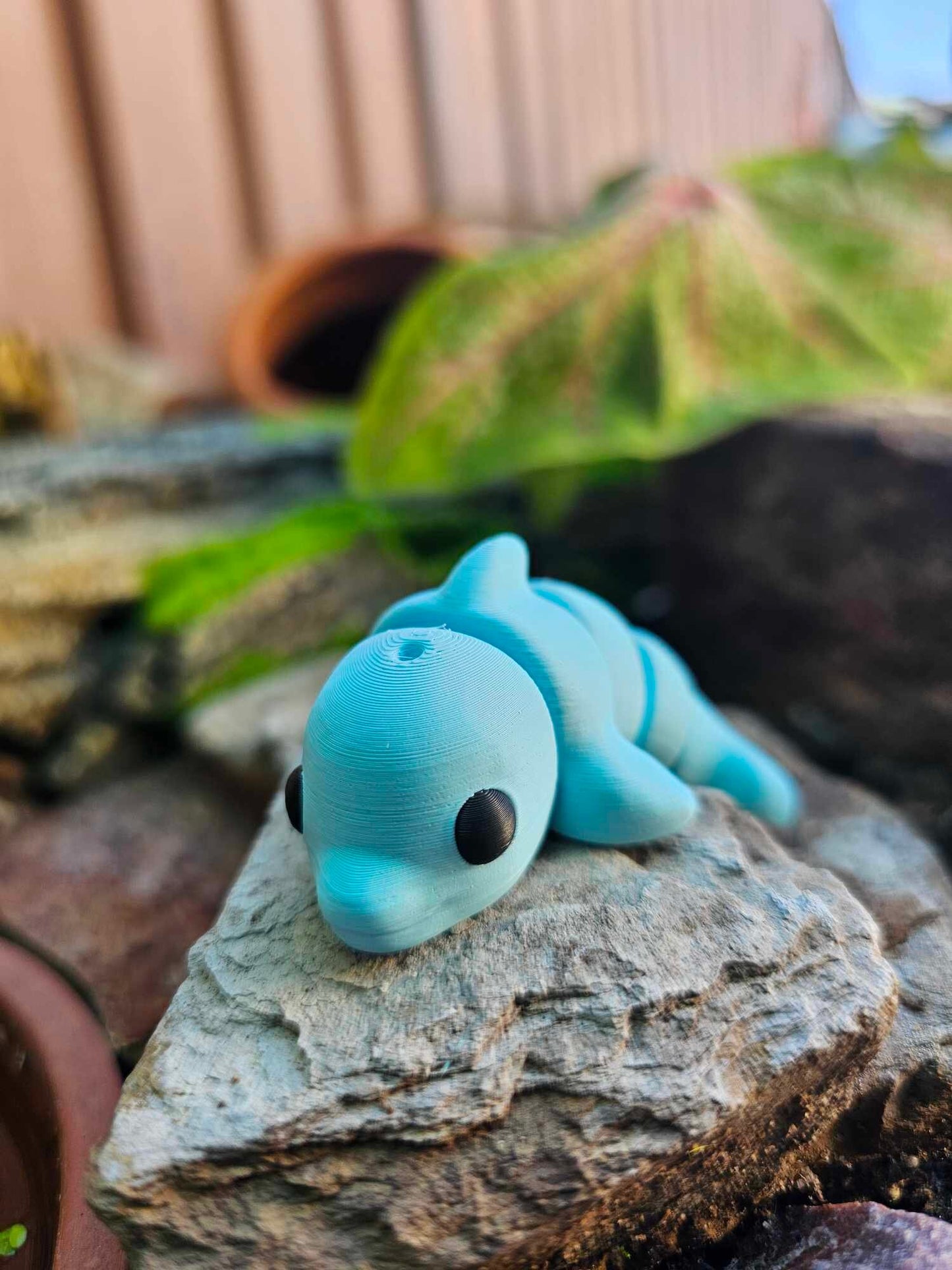 Mini Dolphin