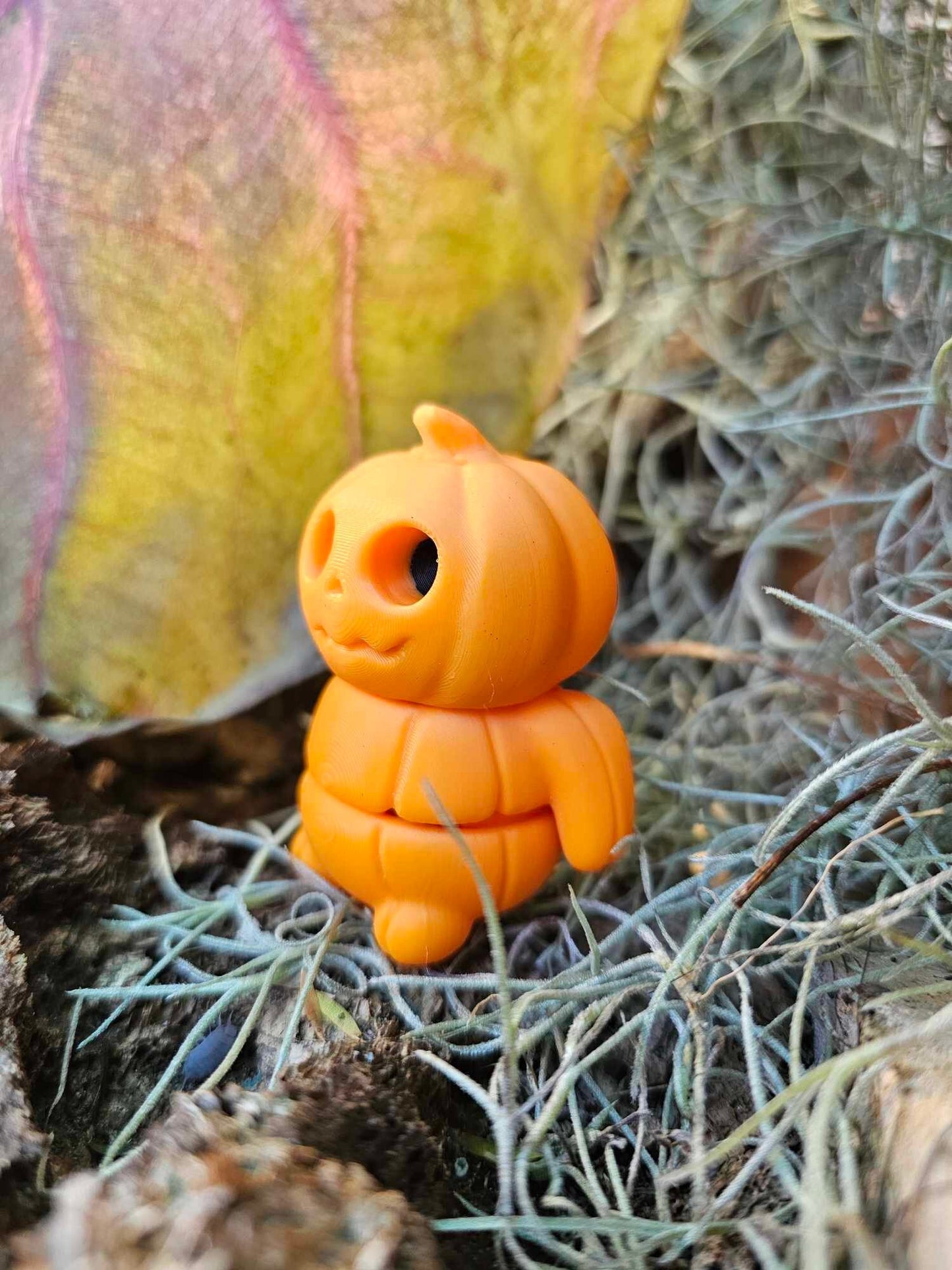 Mini Pumkin