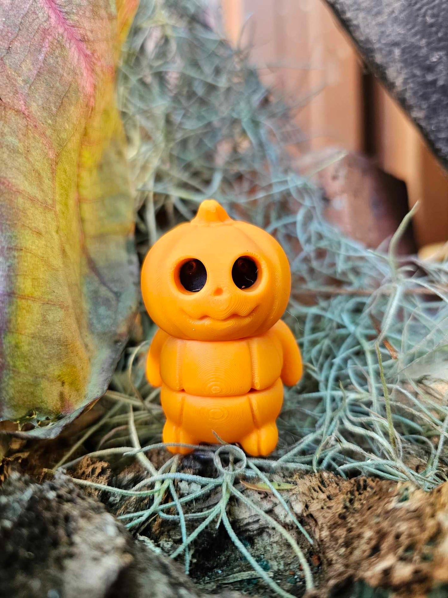 Mini Pumkin