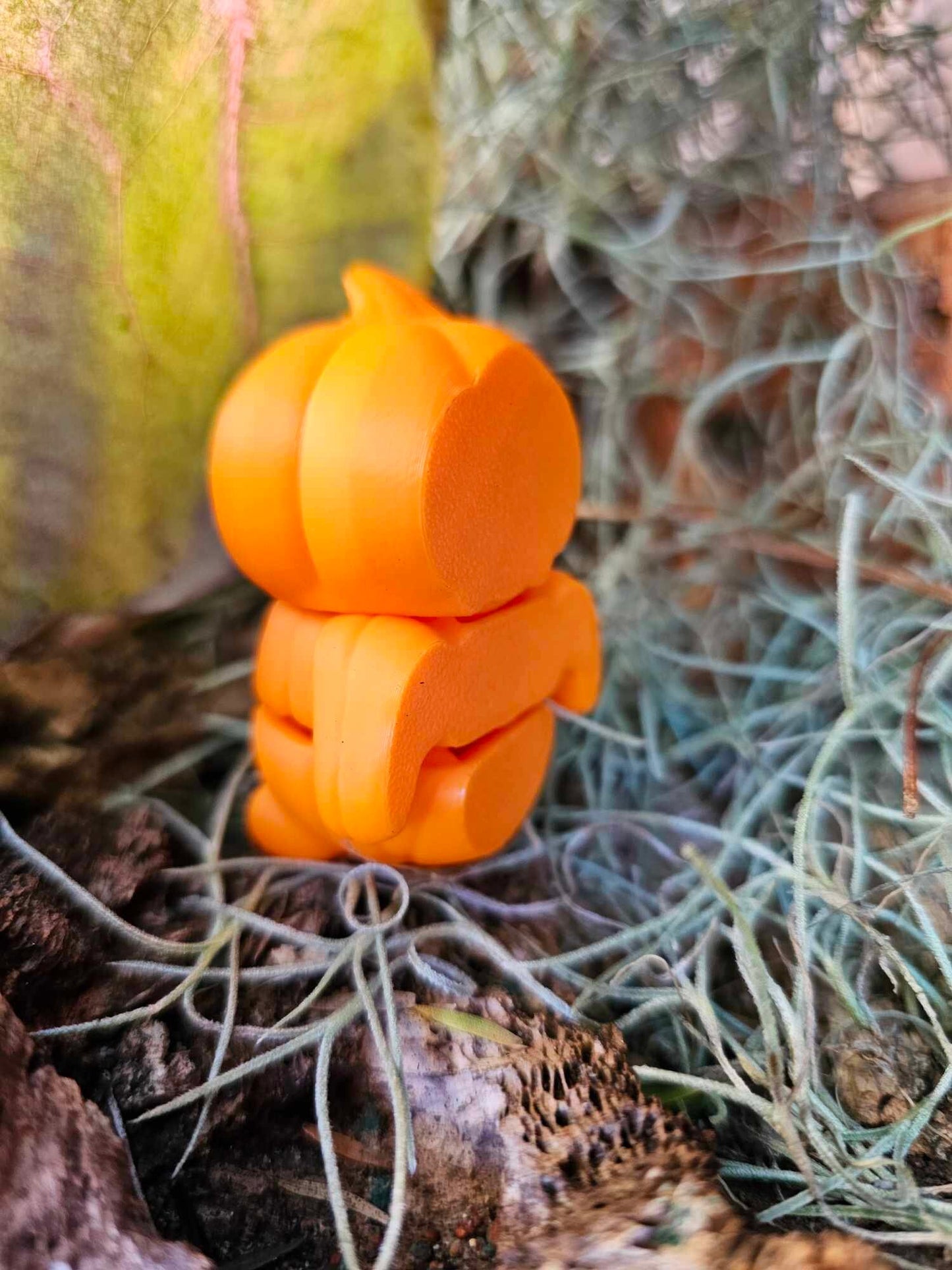 Mini Pumkin