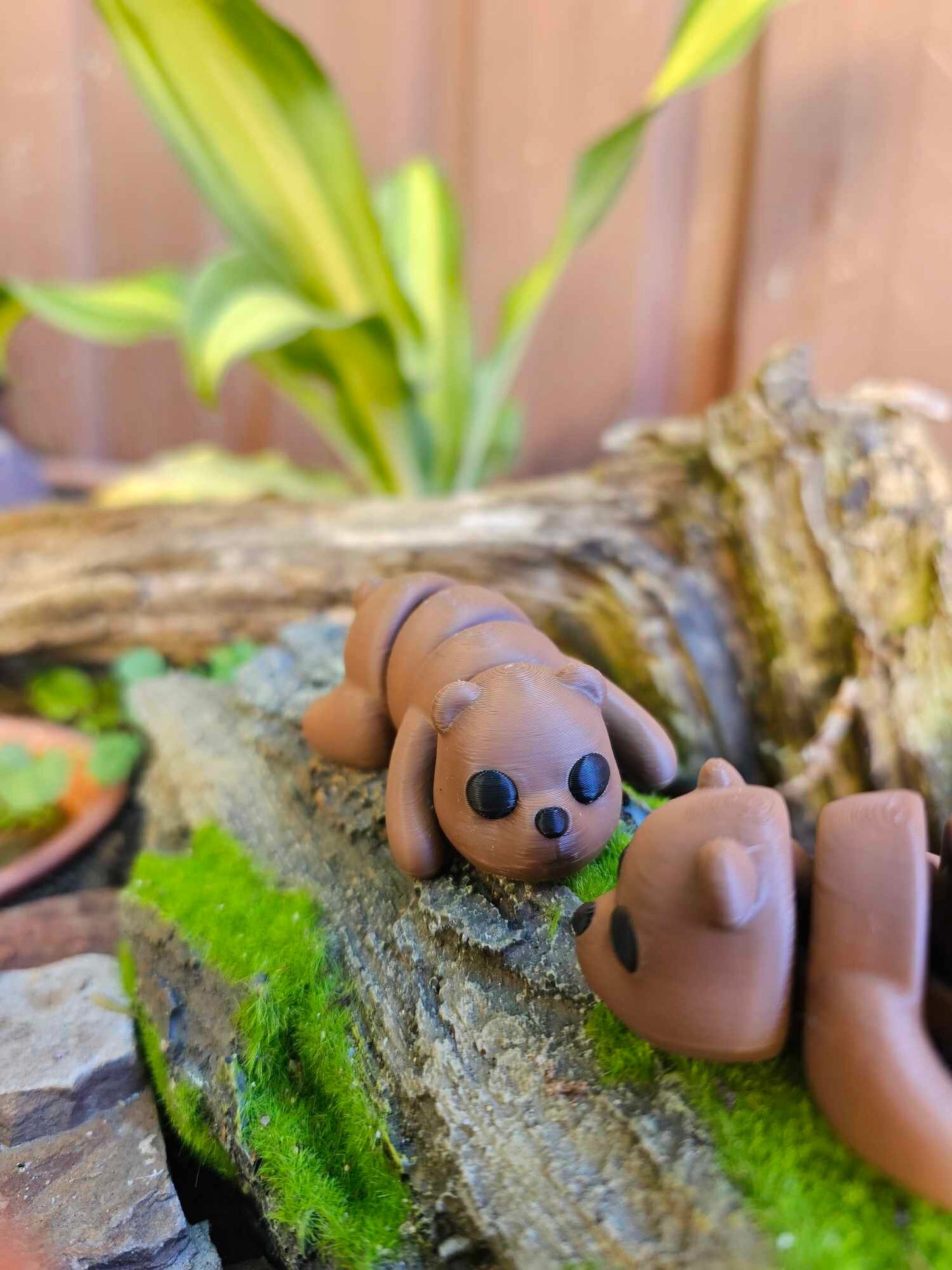 Mini Baby Bear