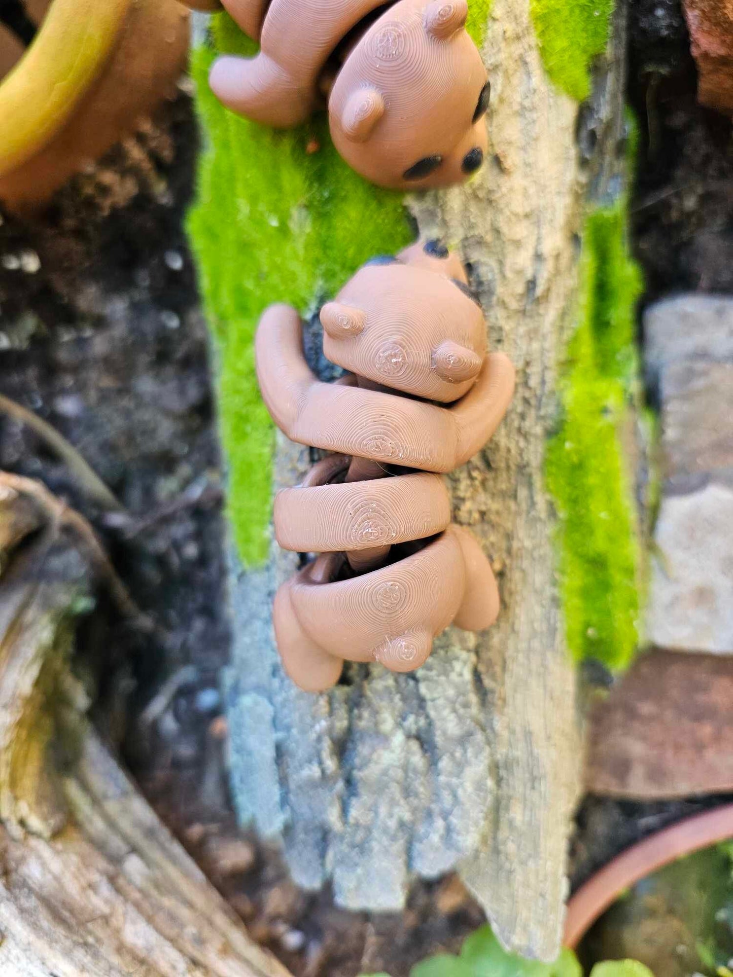 Mini Baby Bear