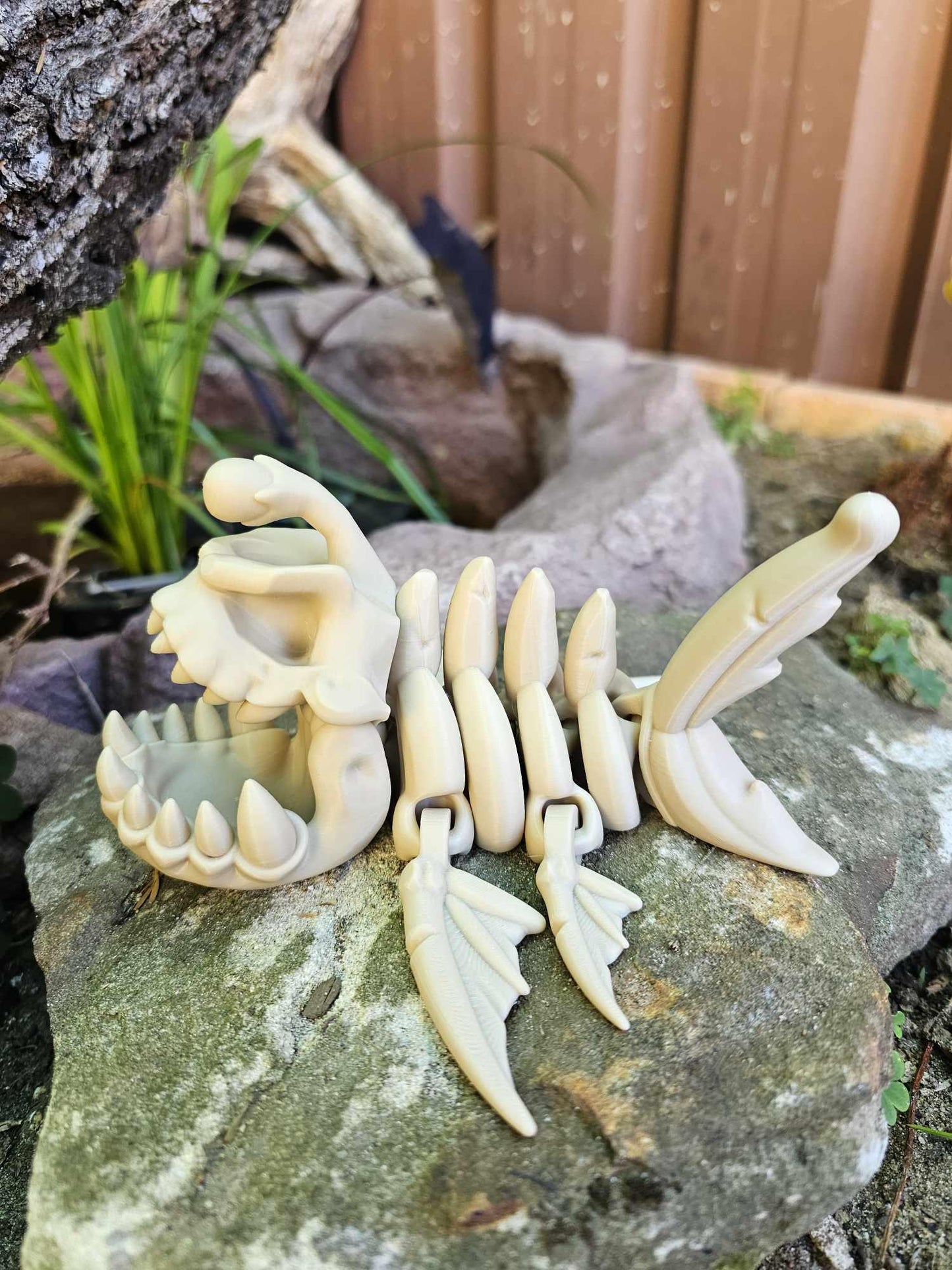 Skeleton Angler Fish