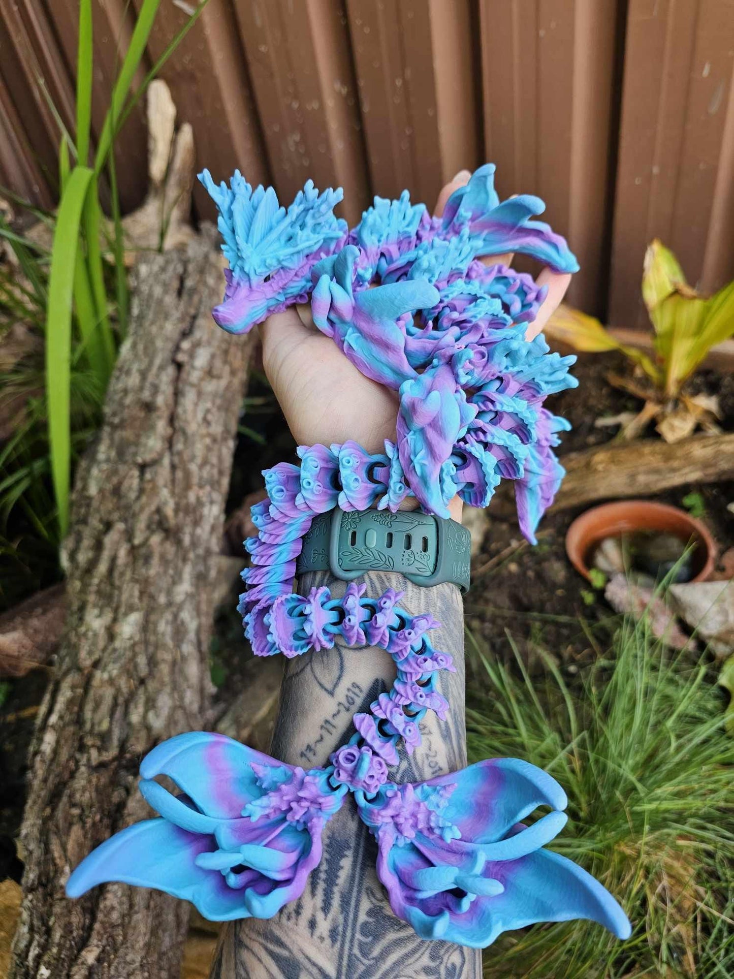 Coral Reef Dragon