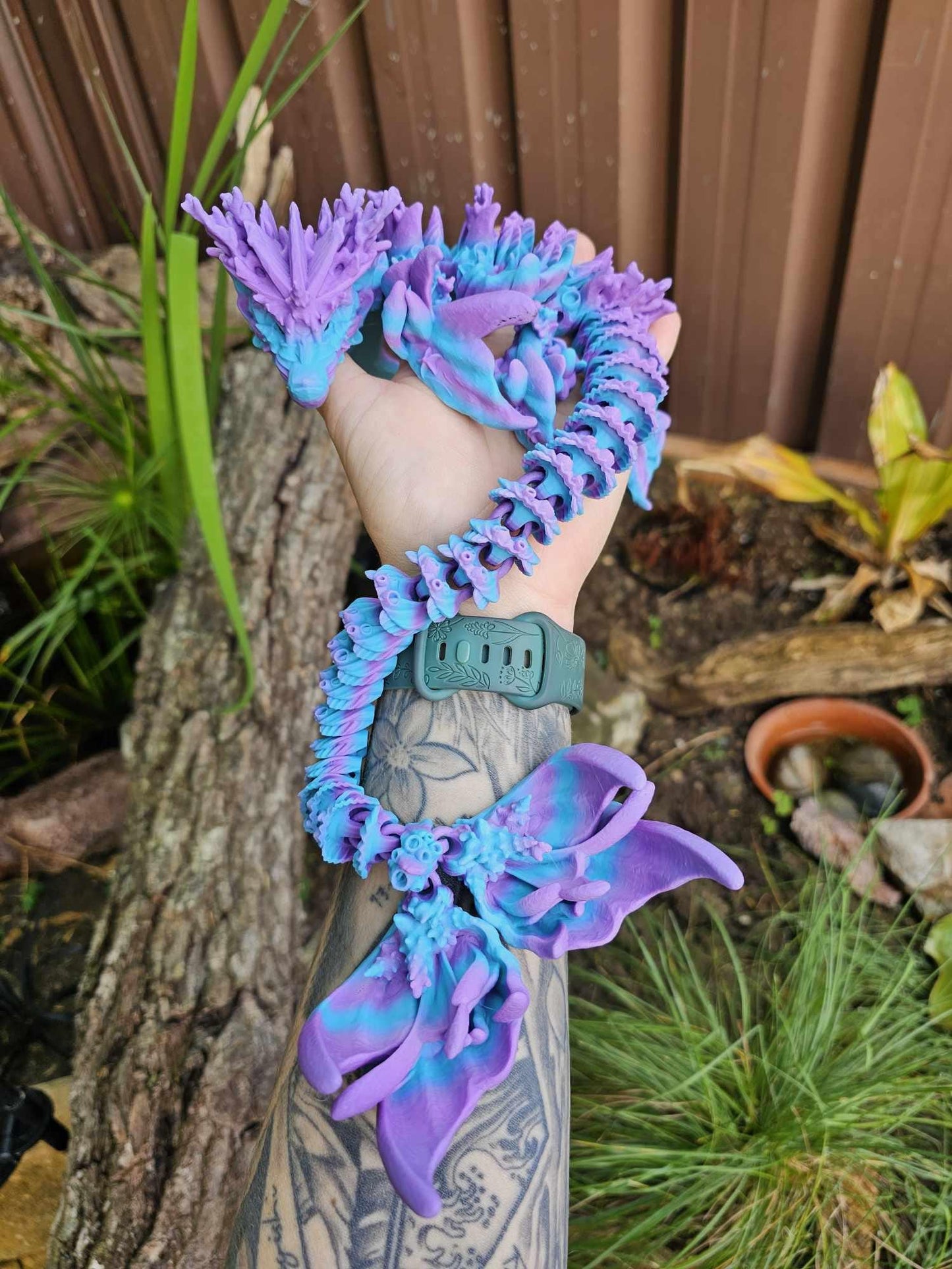 Coral Reef Dragon