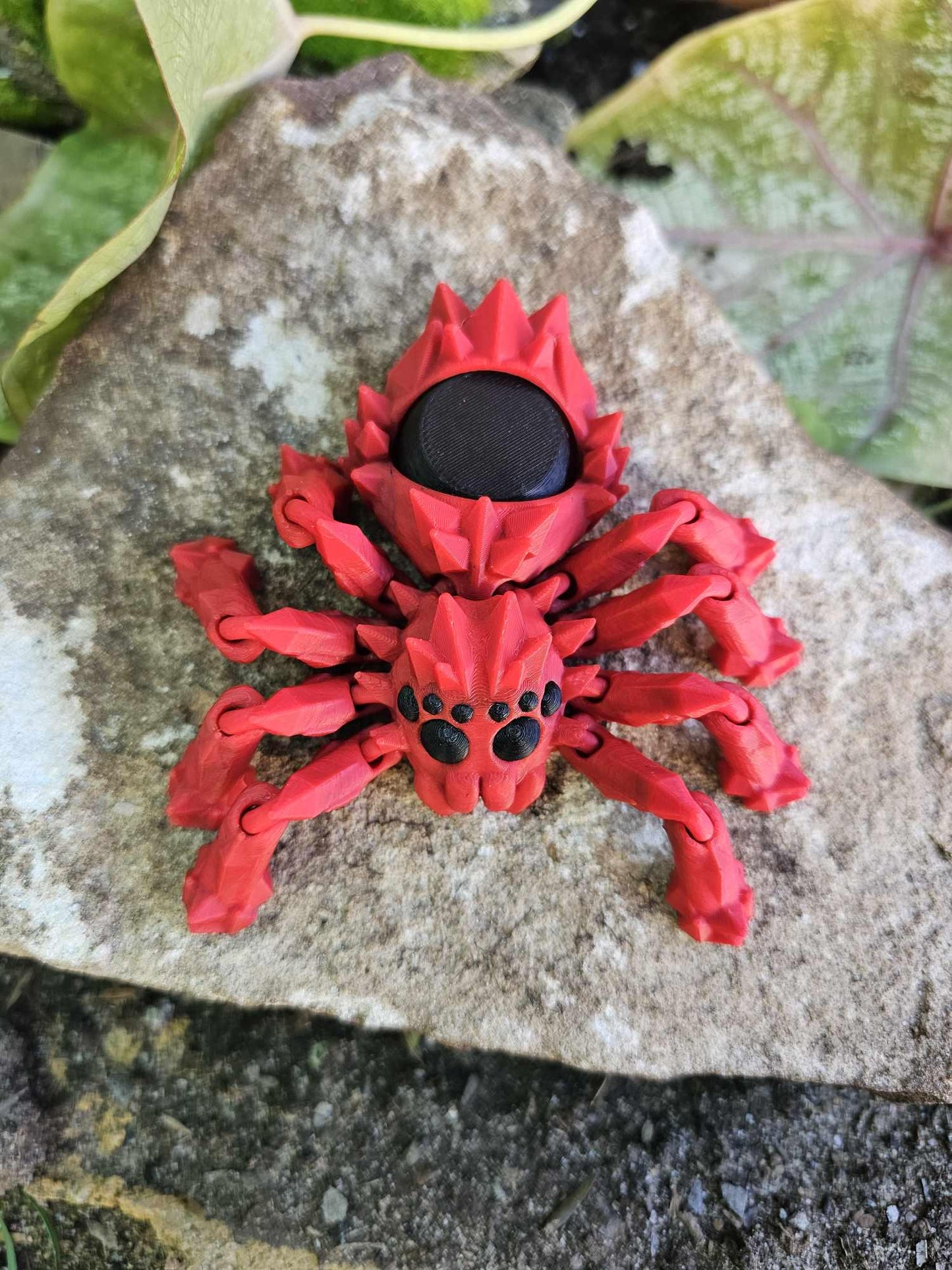 SPYder