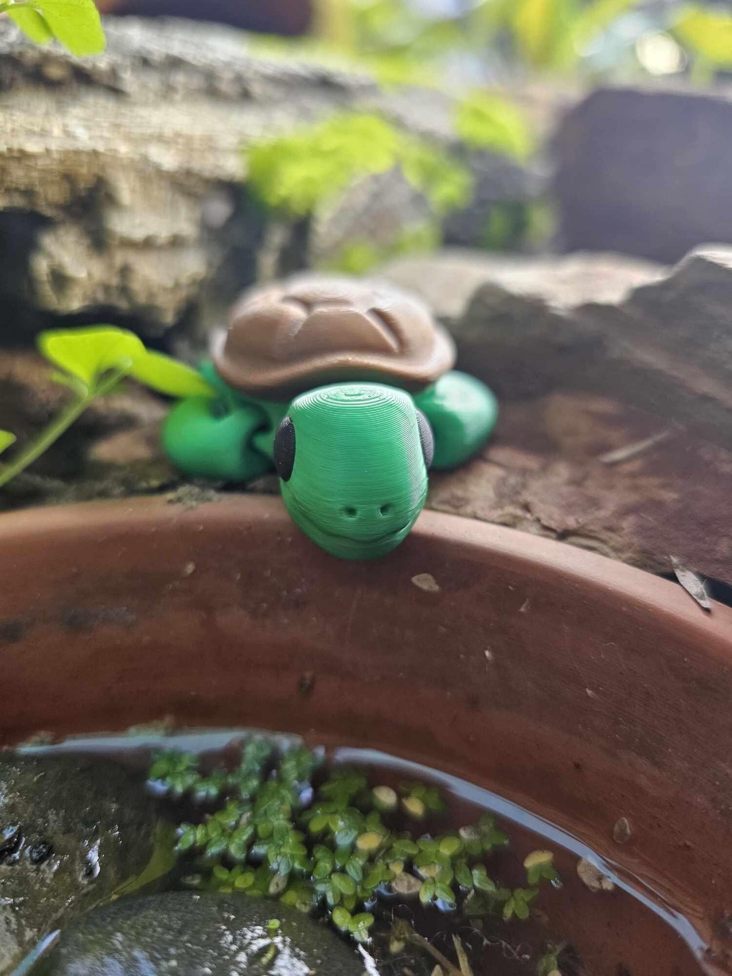 Mini Turtle