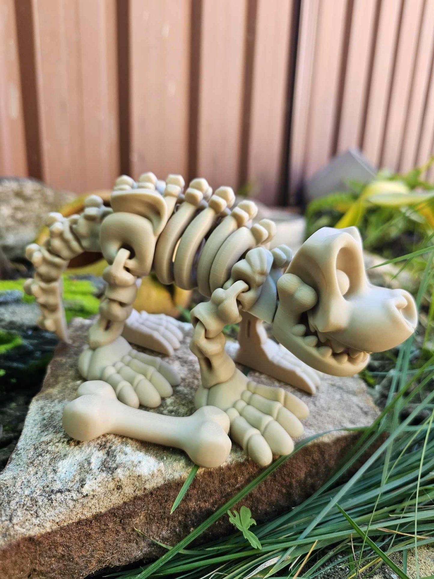 Skeleton Dog and Bone