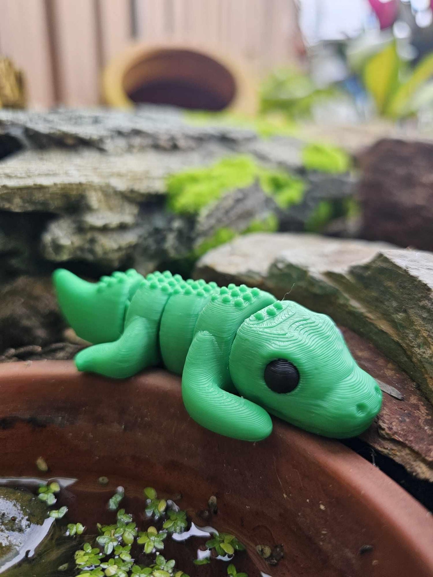 Mini Crocodile