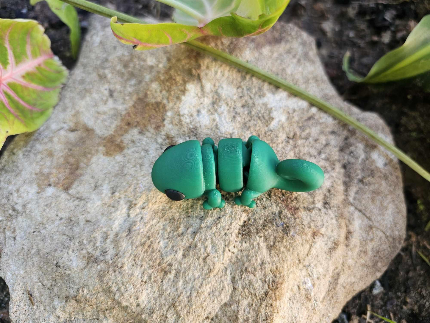 Mini Chameleon