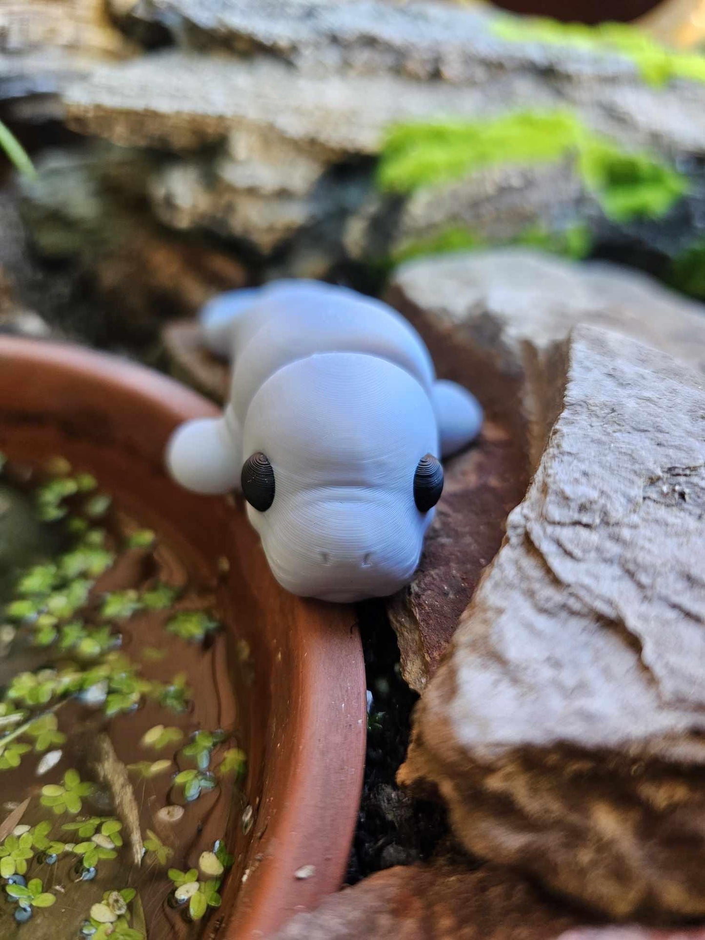 Mini Manatee