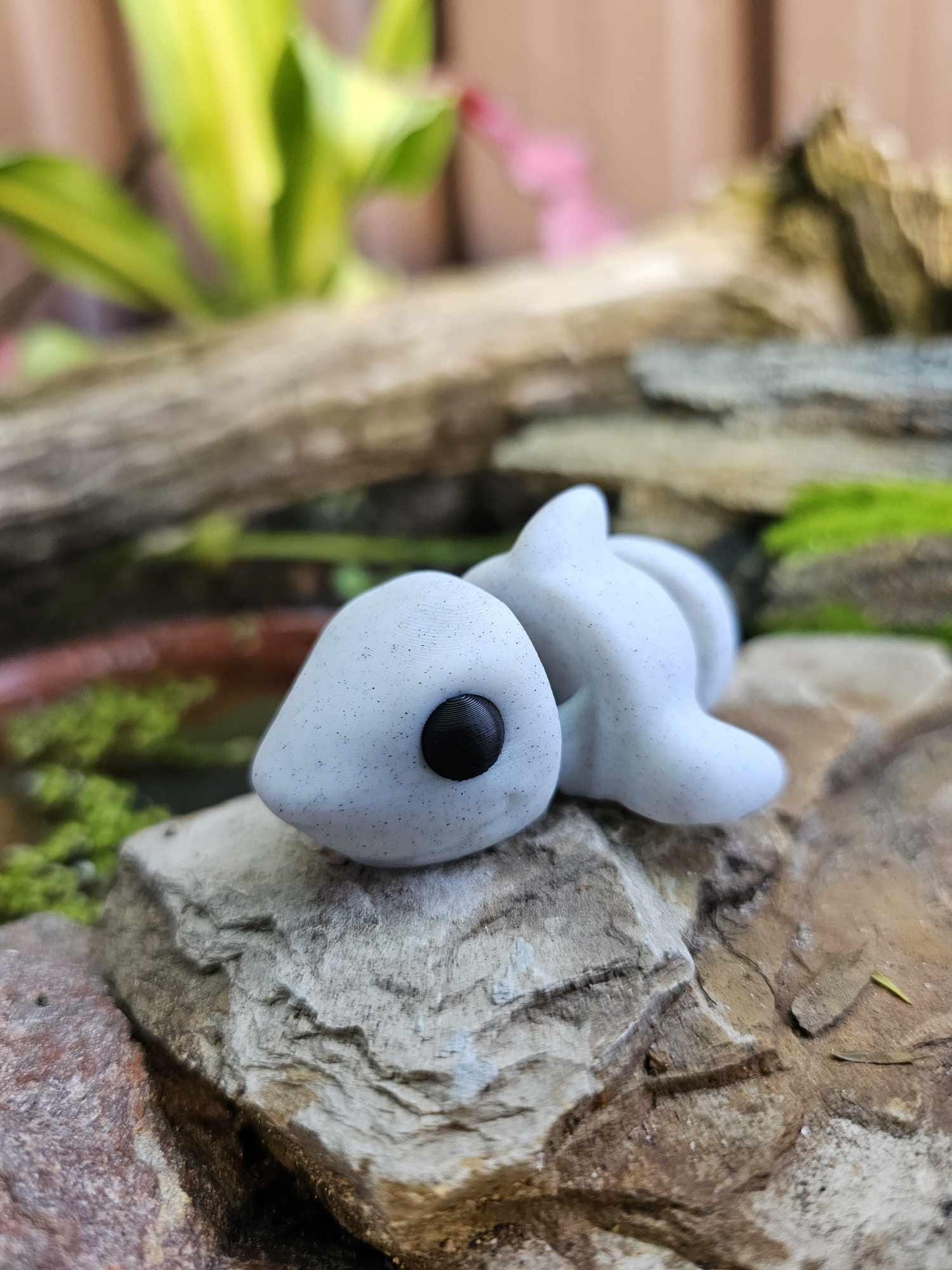 Mini Shark