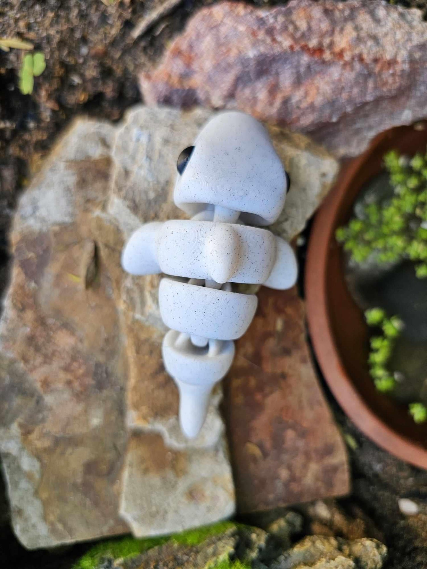 Mini Shark
