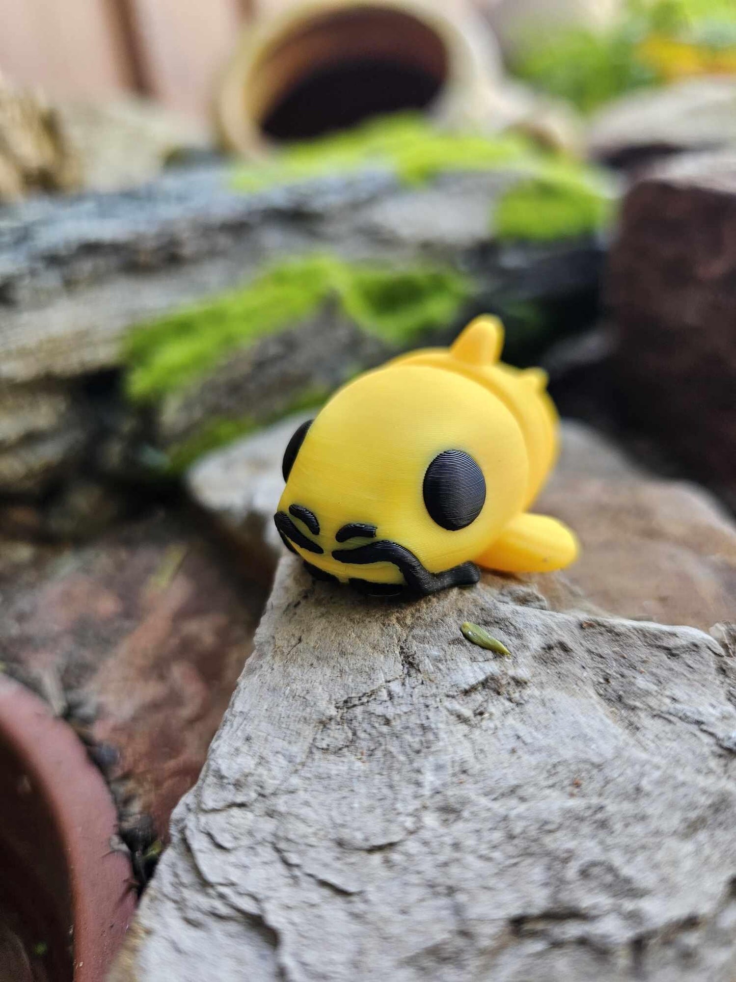 Baby Catfish