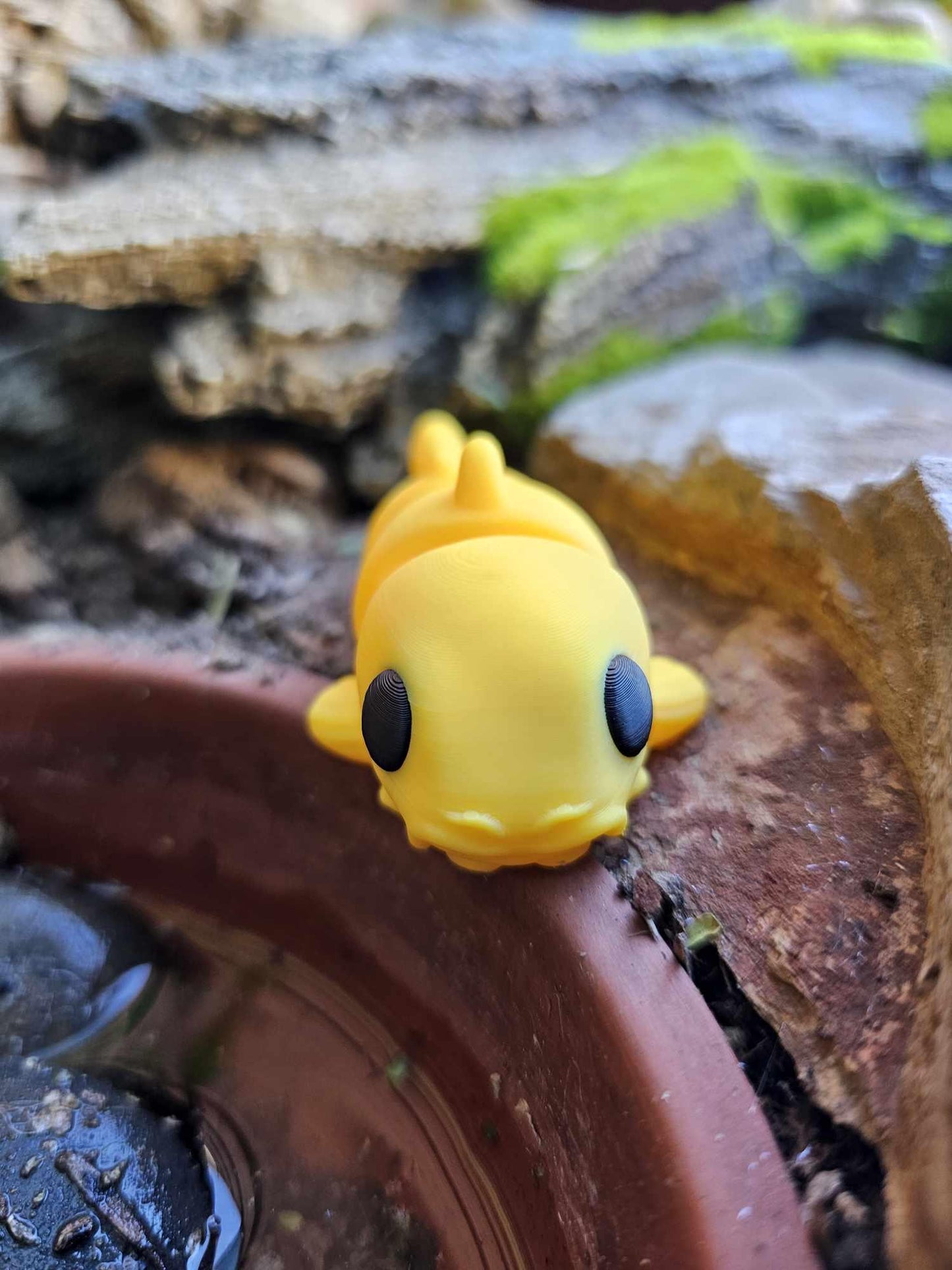 Baby Catfish