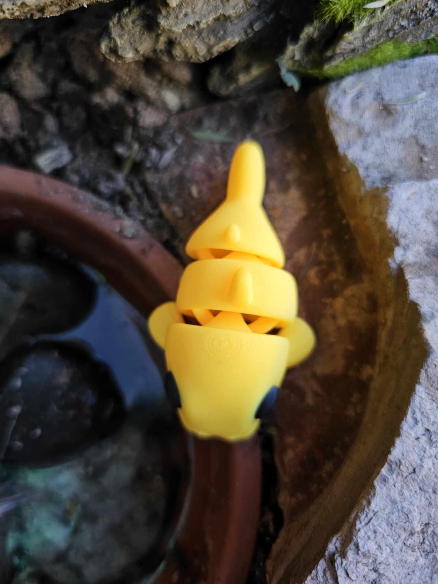 Baby Catfish