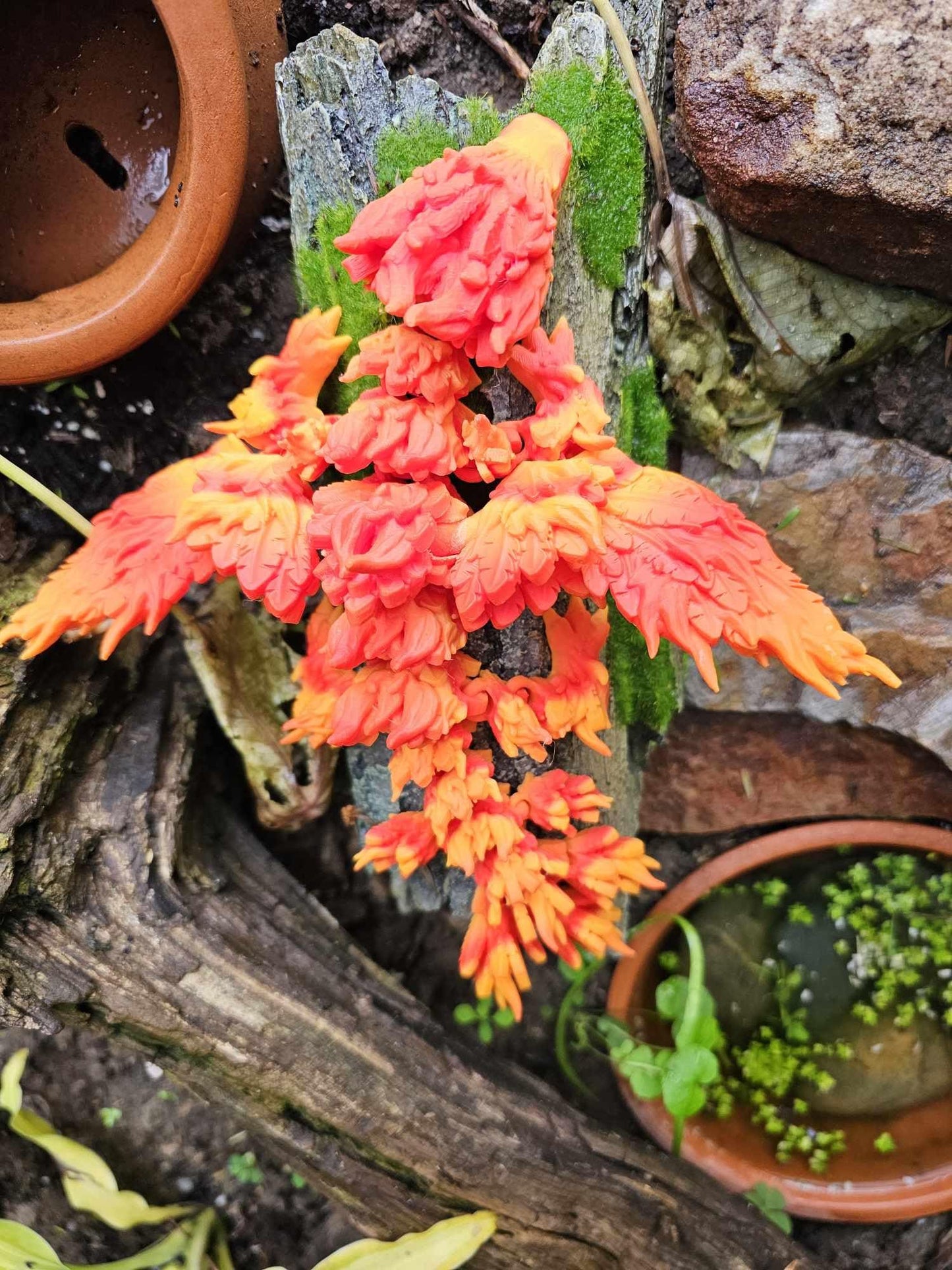 Baby Fire Phoenix