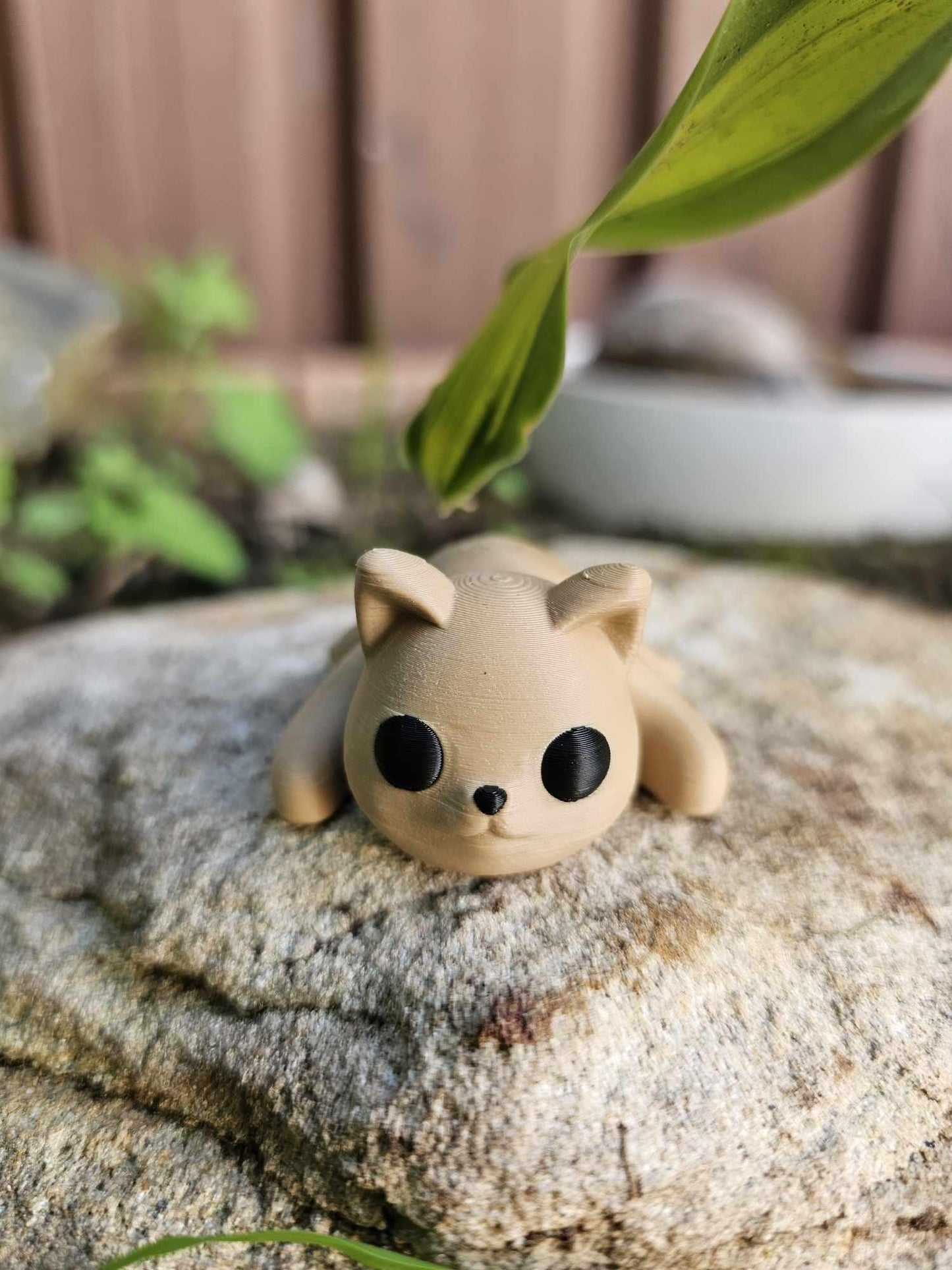 Mini baby cat