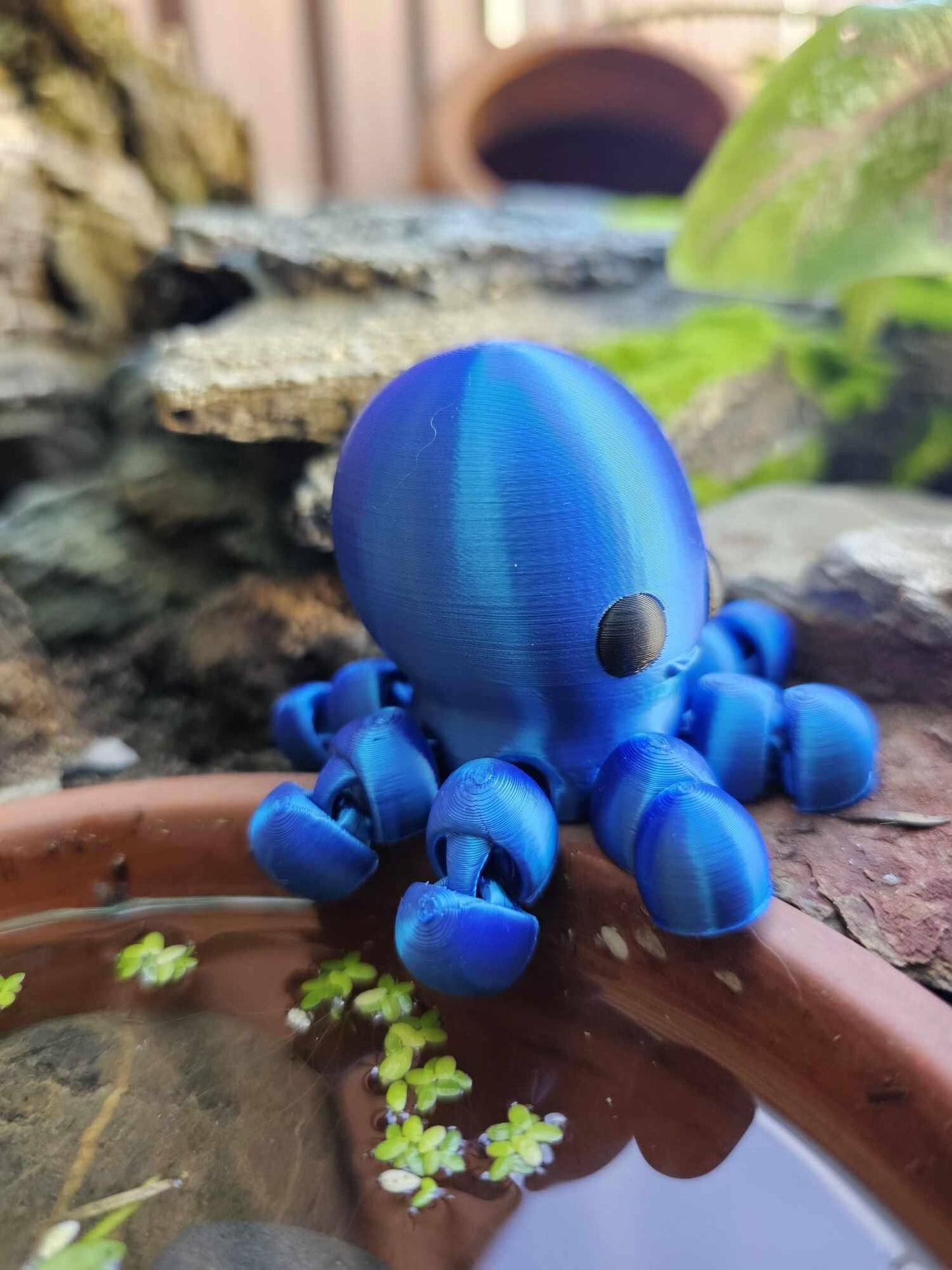 Mini Octopus