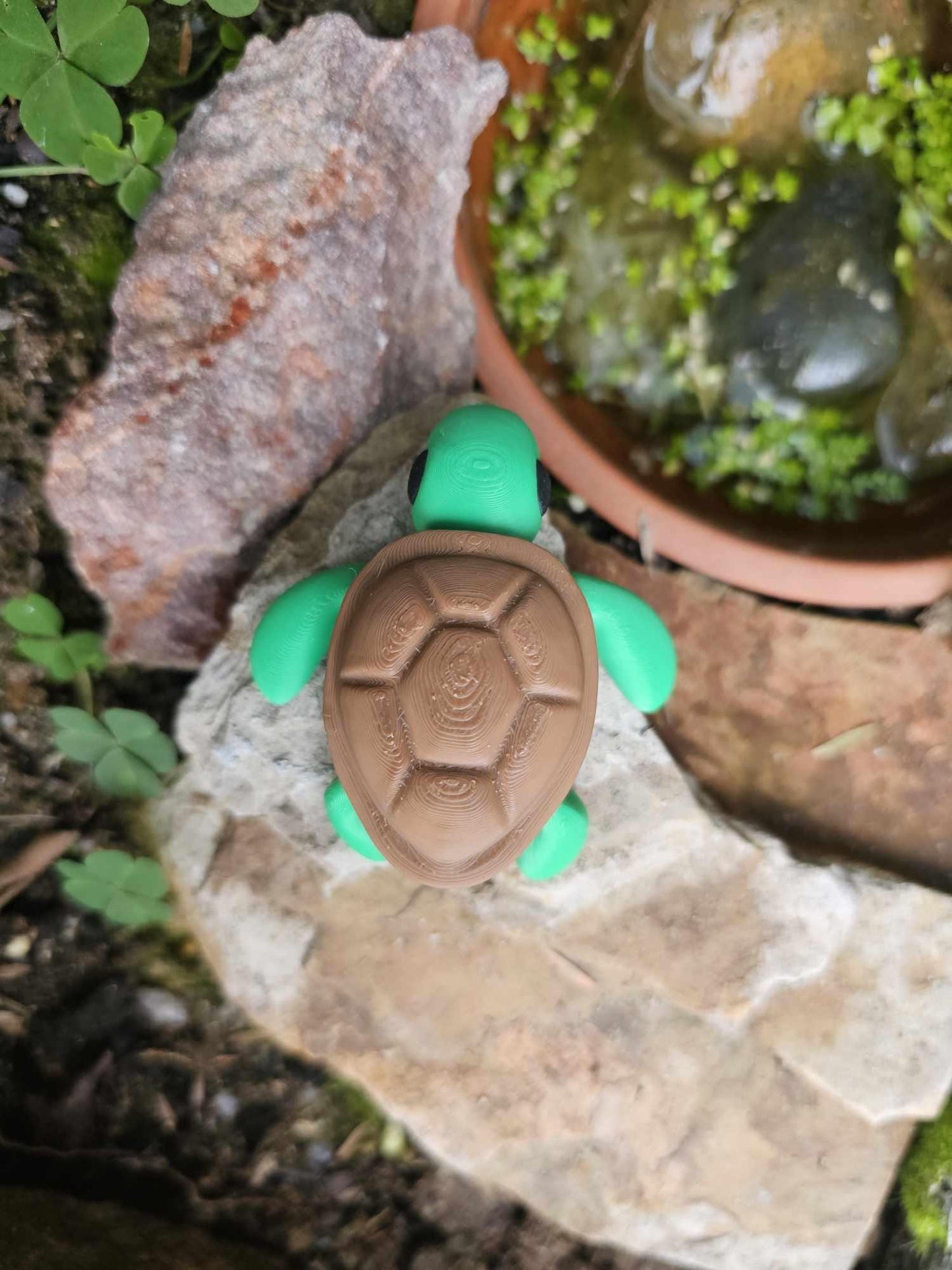 Mini Turtle