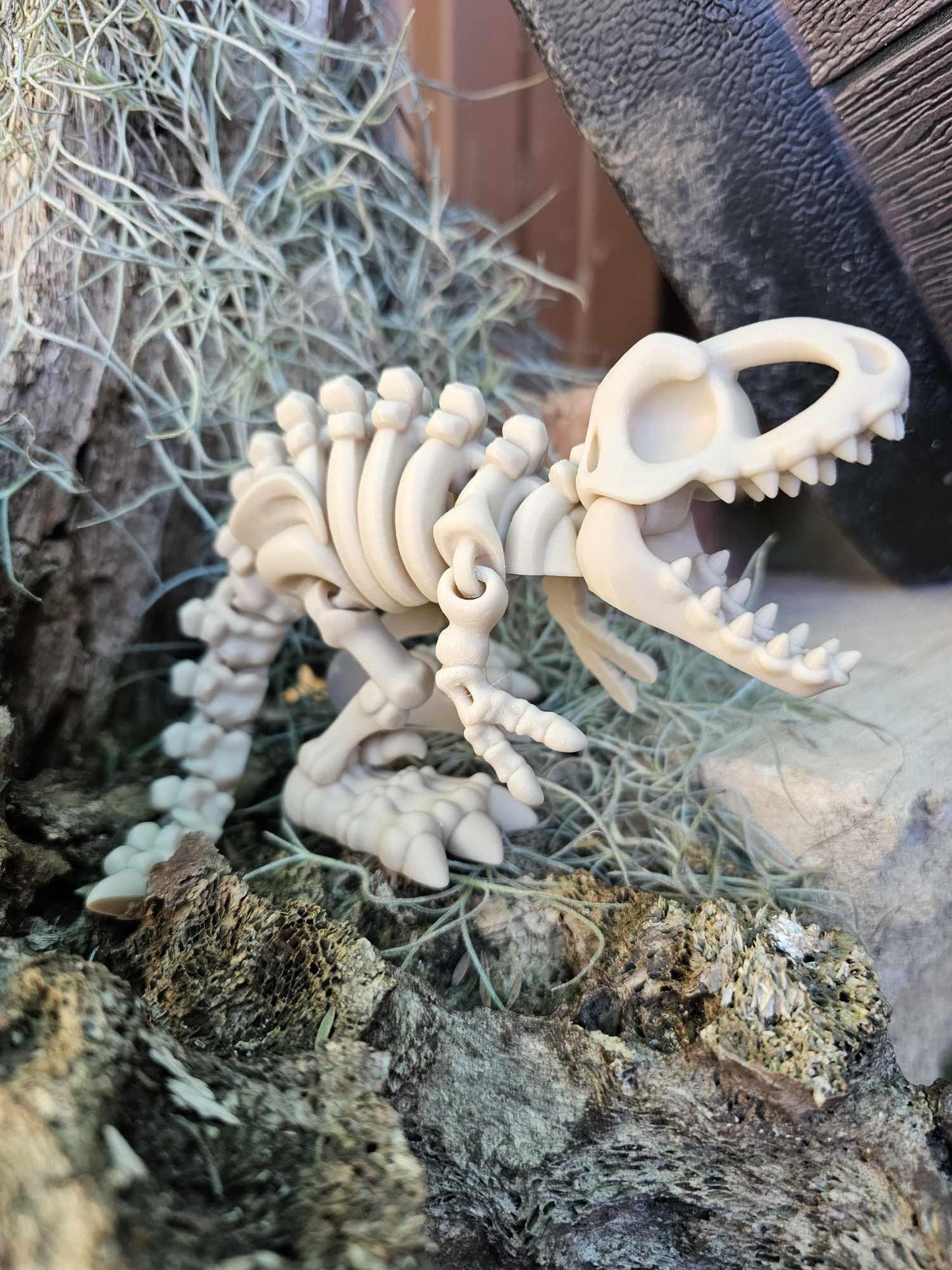 Skeleton T-Rex