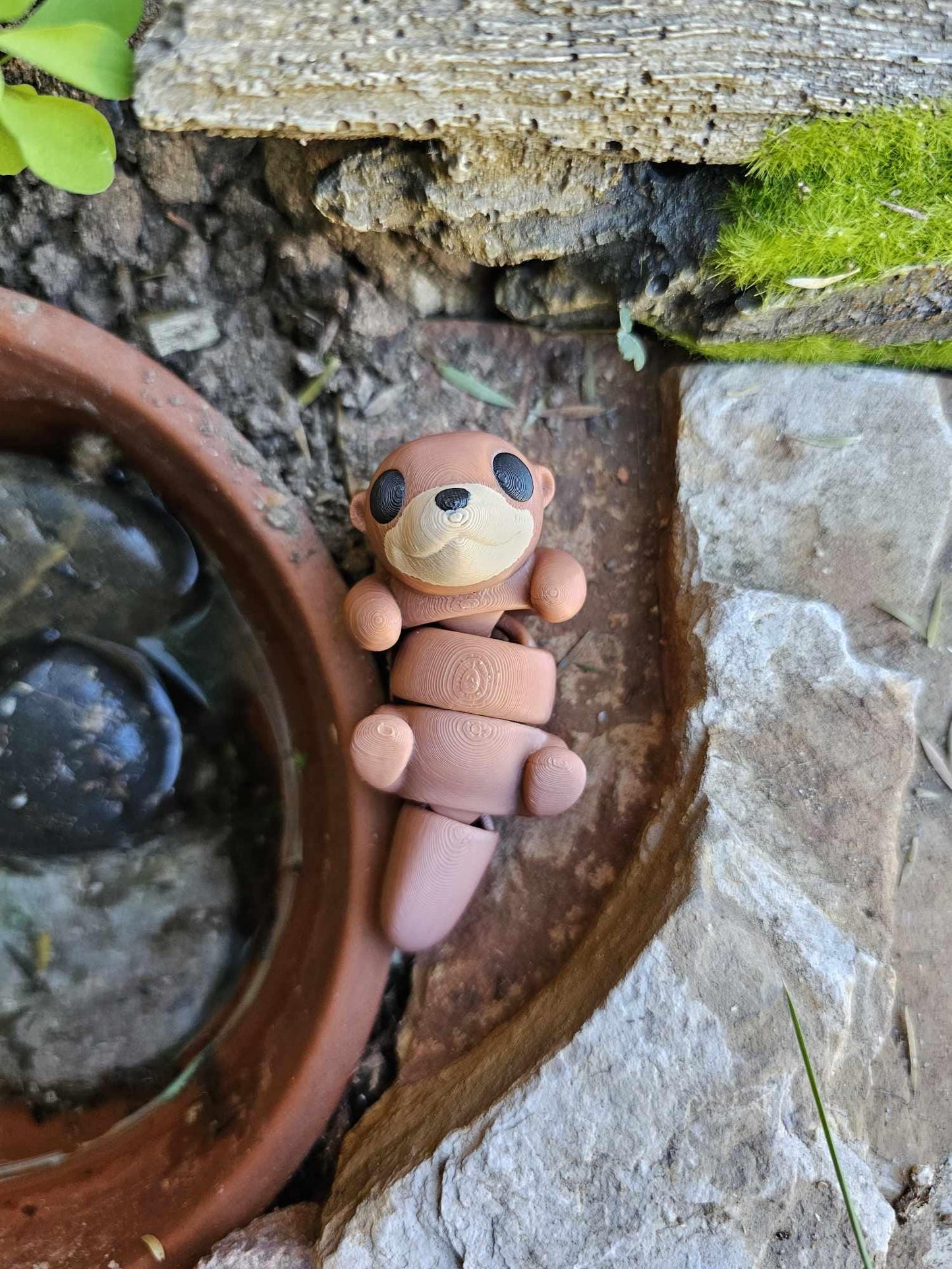 Baby Otter