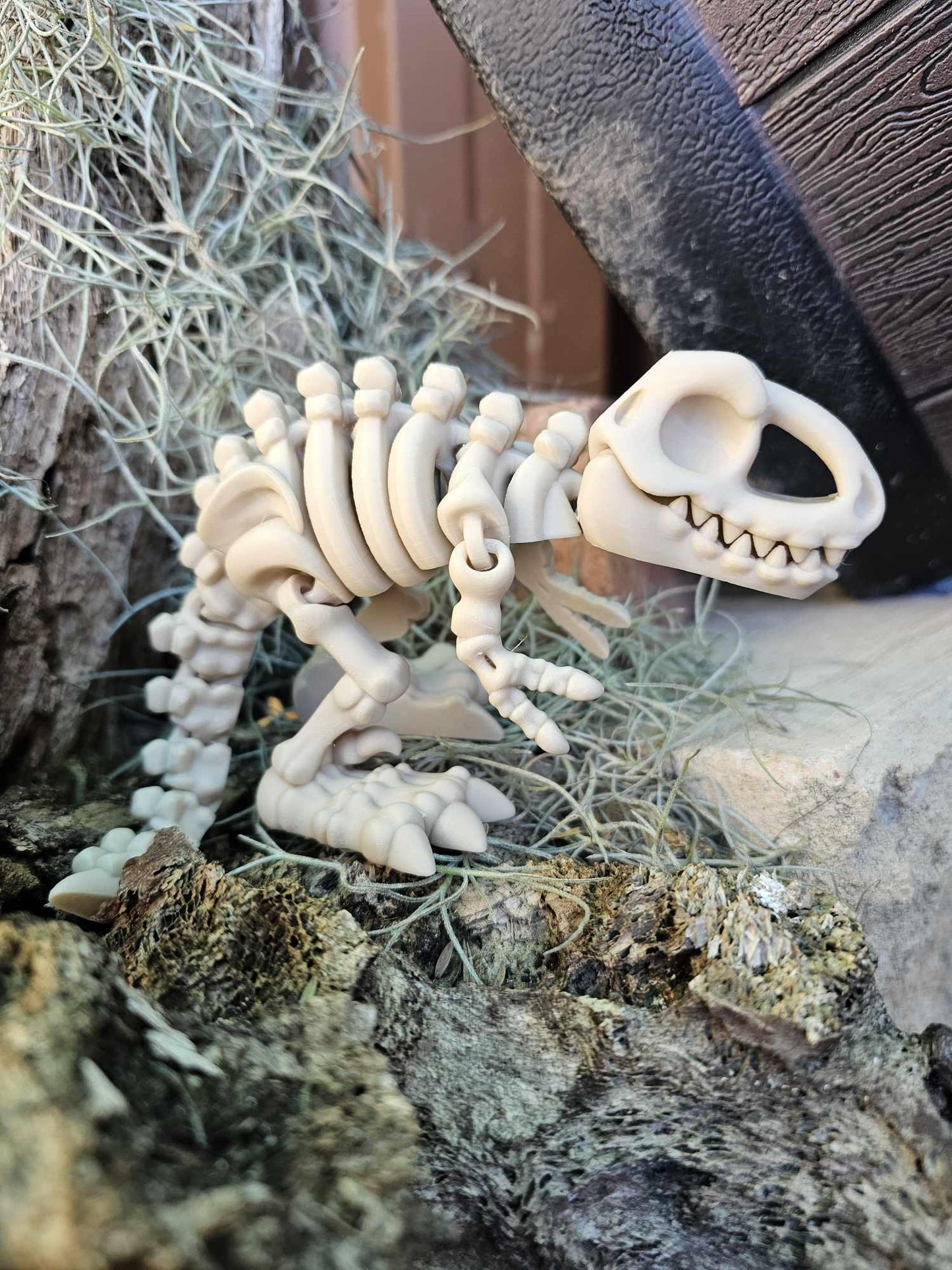 Skeleton T-Rex