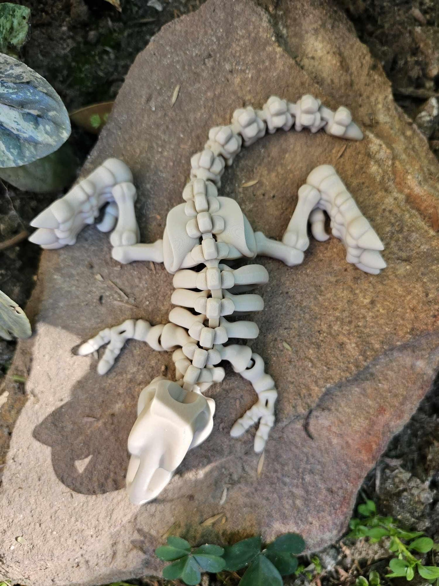 Skeleton T-Rex