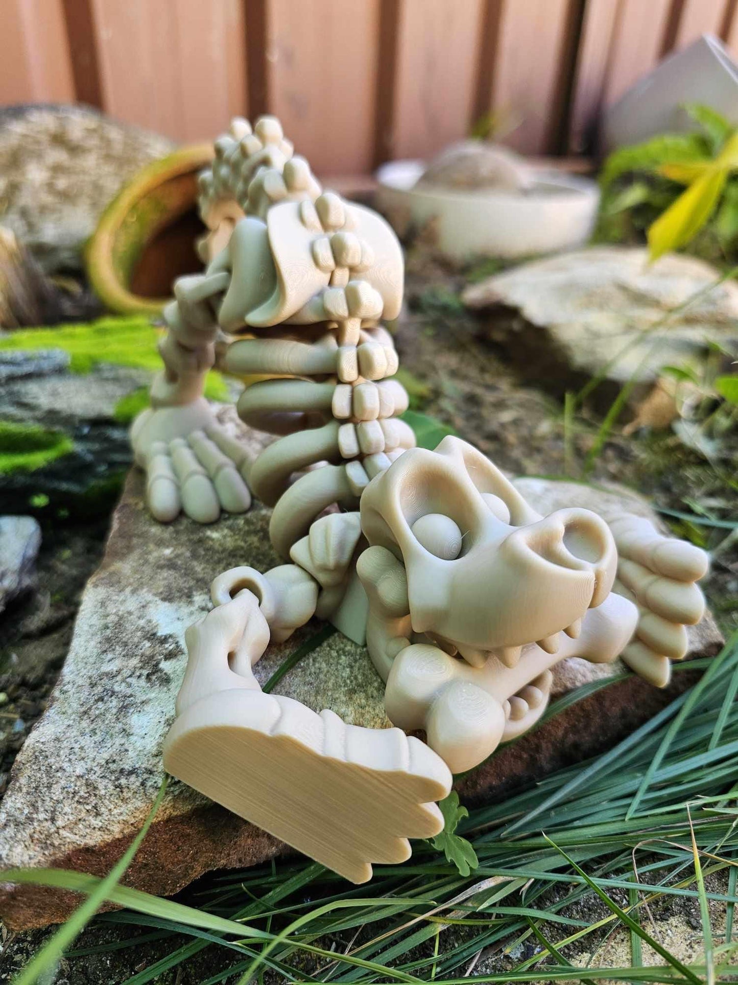 Skeleton Dog and Bone