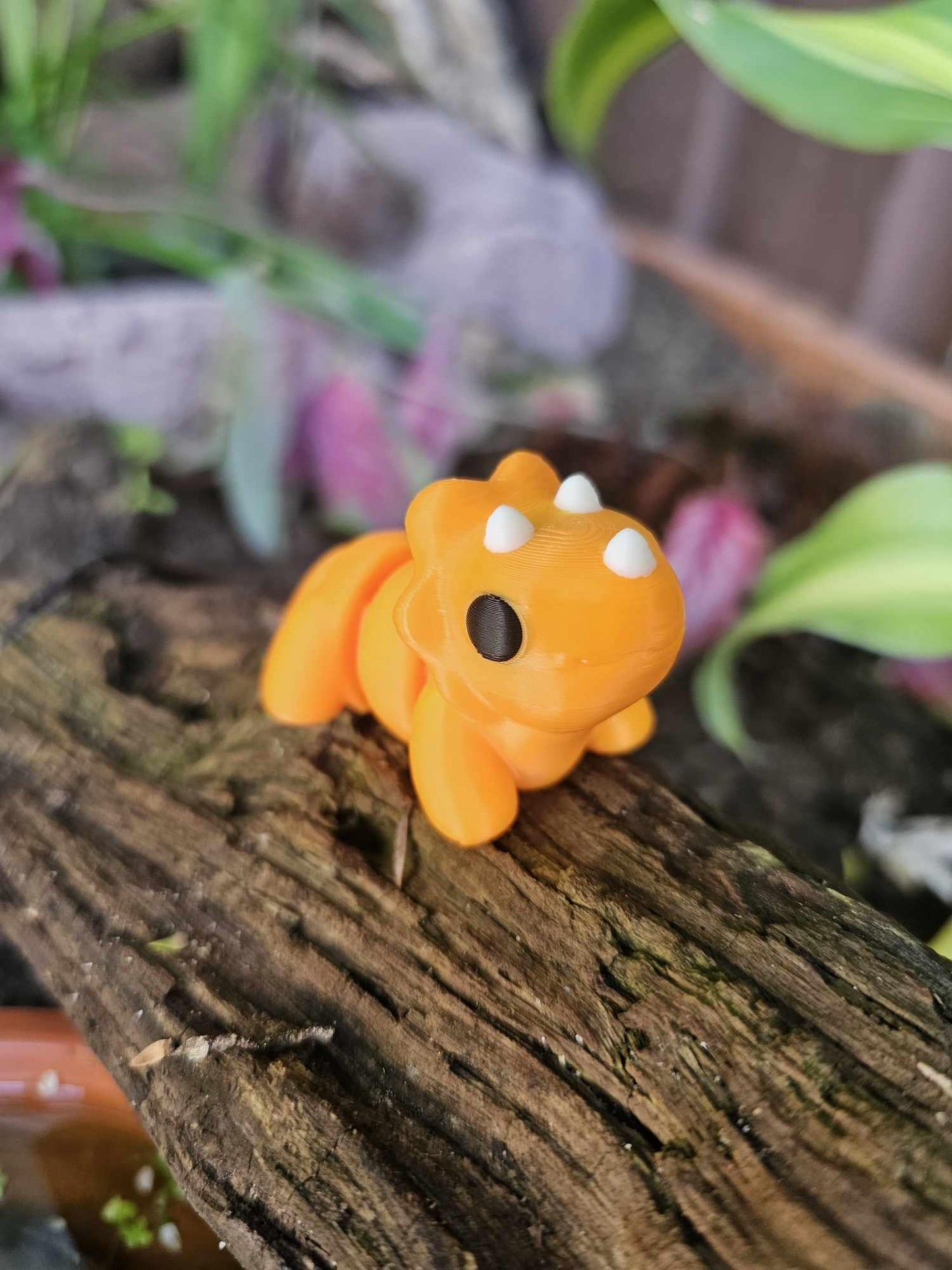 Mini Triceratops