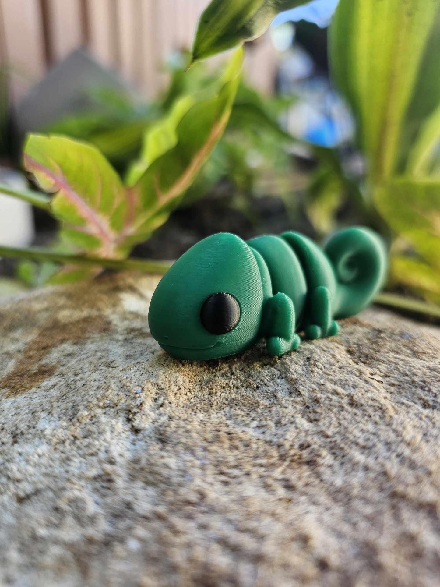 Mini Chameleon