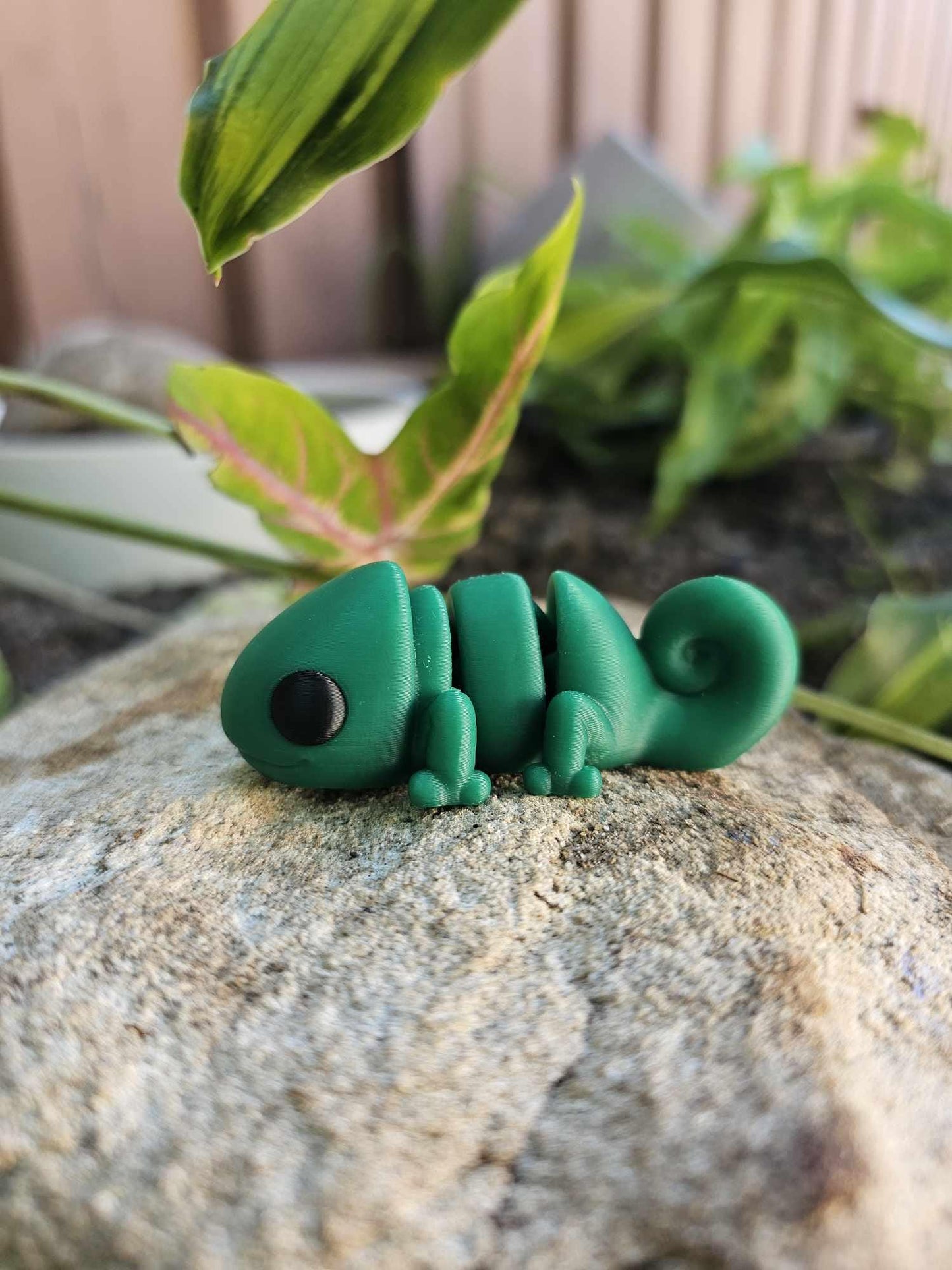 Mini Chameleon