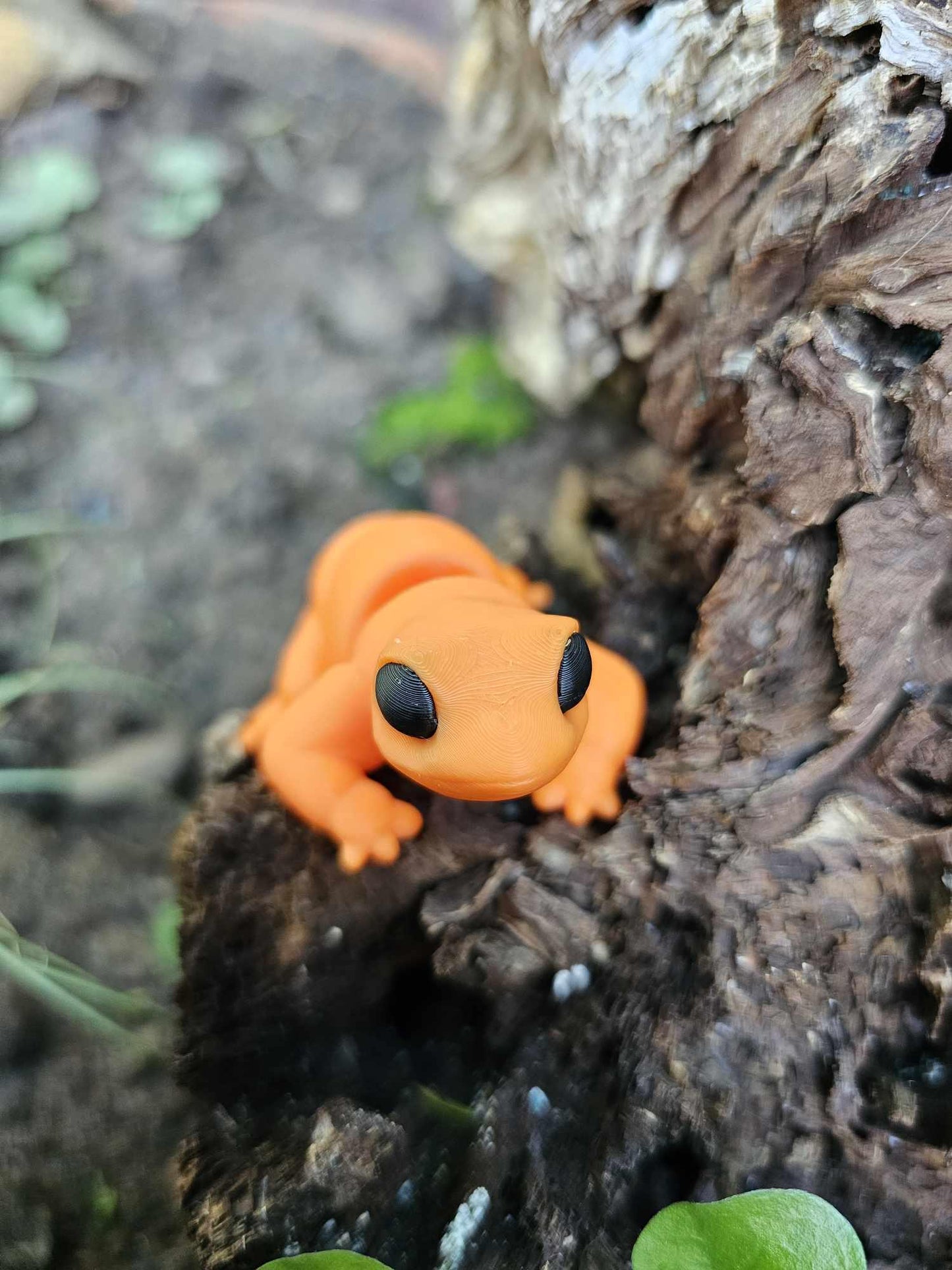 Mini Lizard