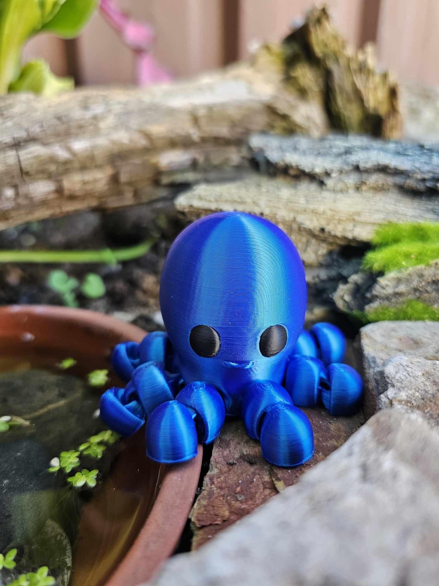 Mini Octopus
