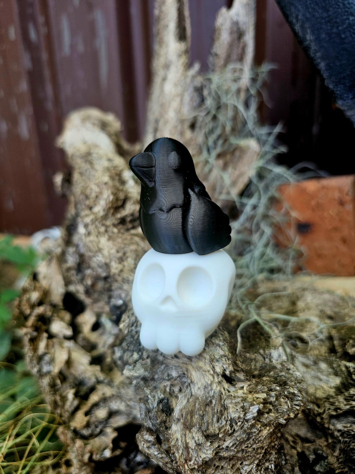 Baby Crow