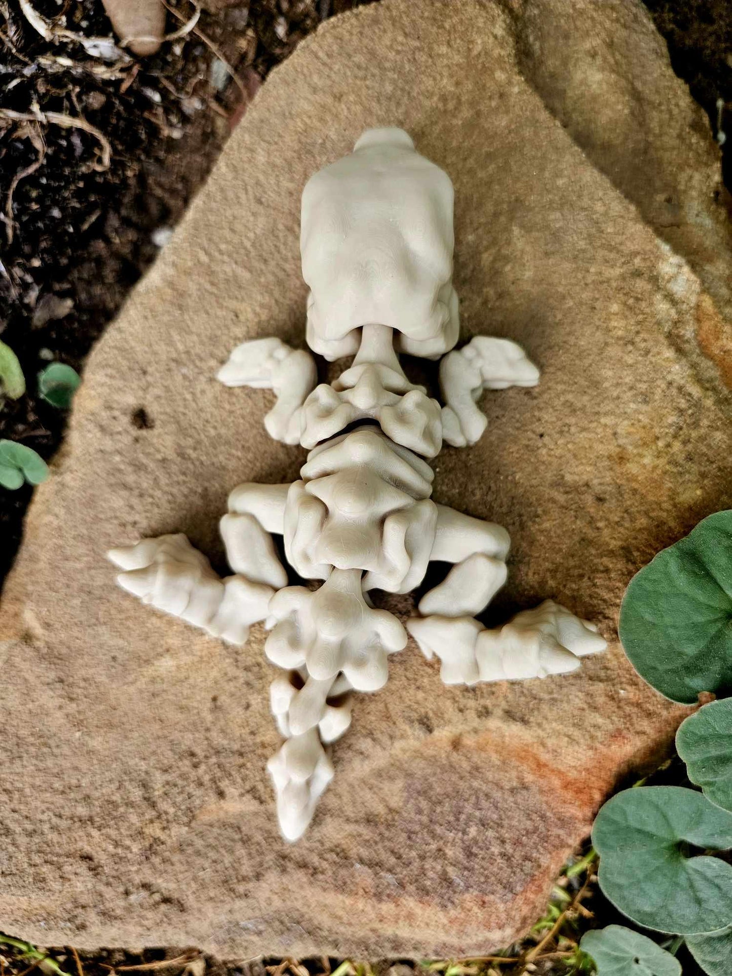 Tiny Skeleton T-Rex