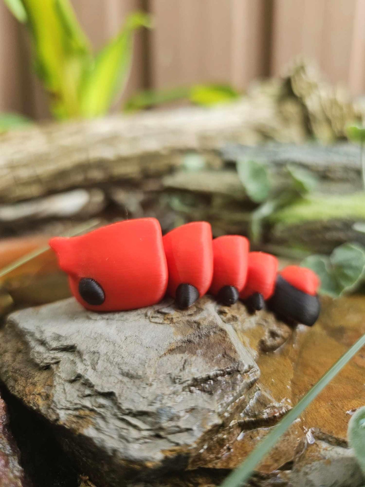 Mini Shrimp