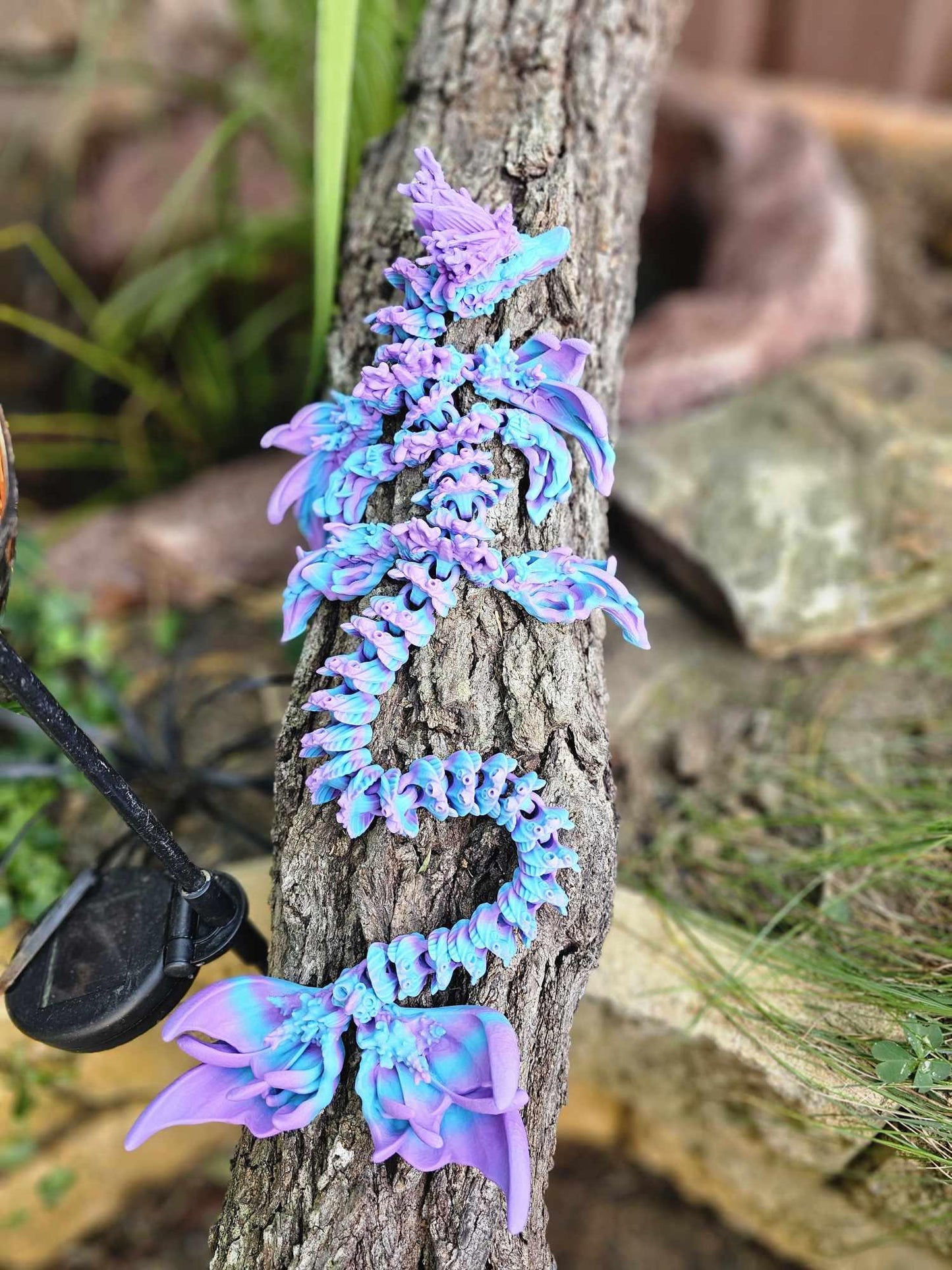 Coral Reef Dragon