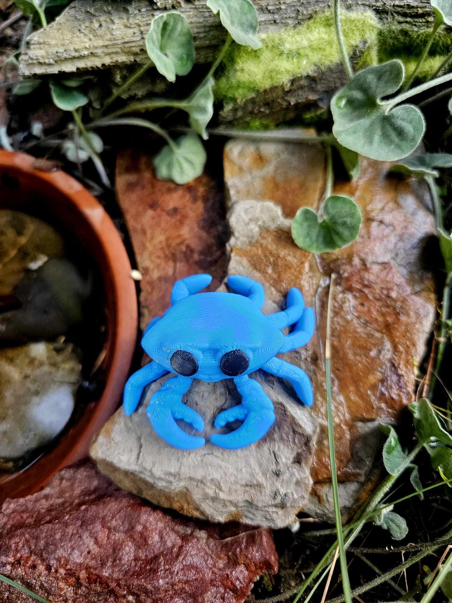 Tiny Crab