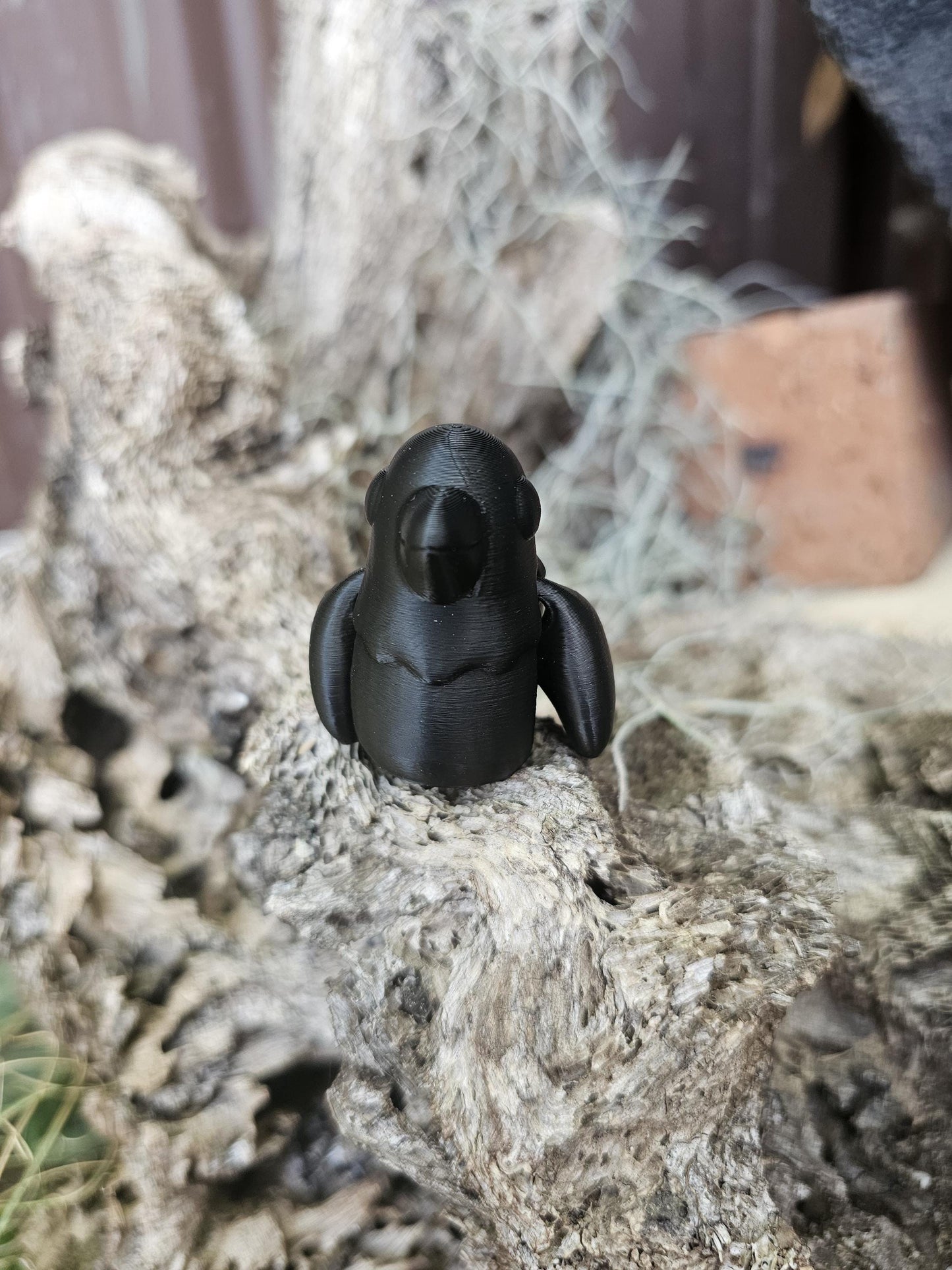 Baby Crow