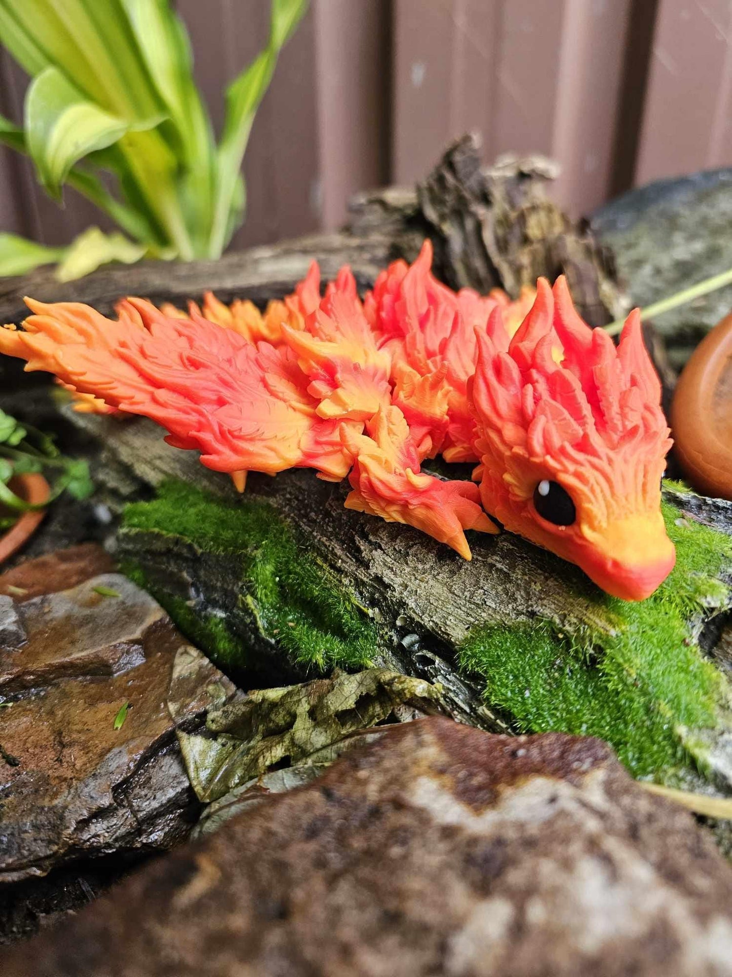 Baby Fire Phoenix