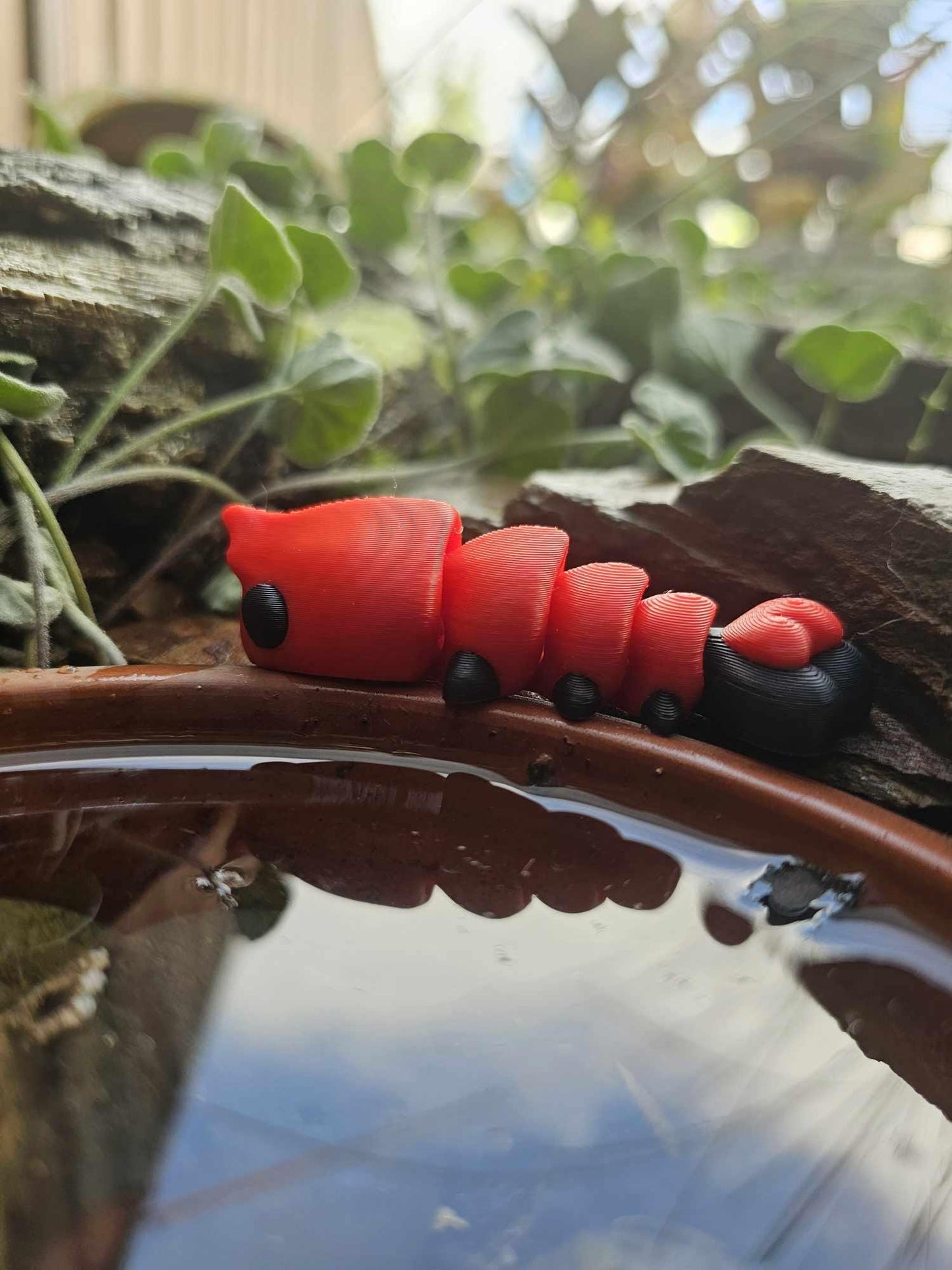 Mini Shrimp