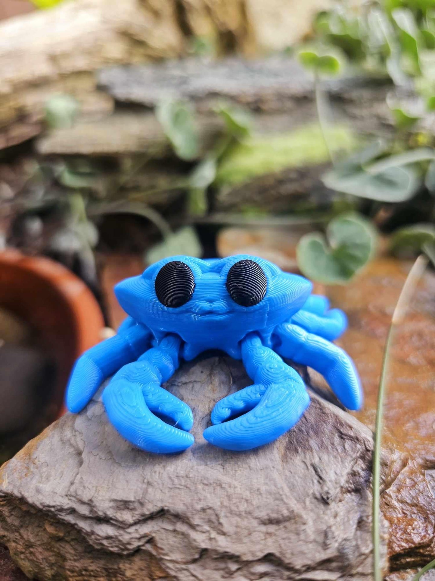 Tiny Crab